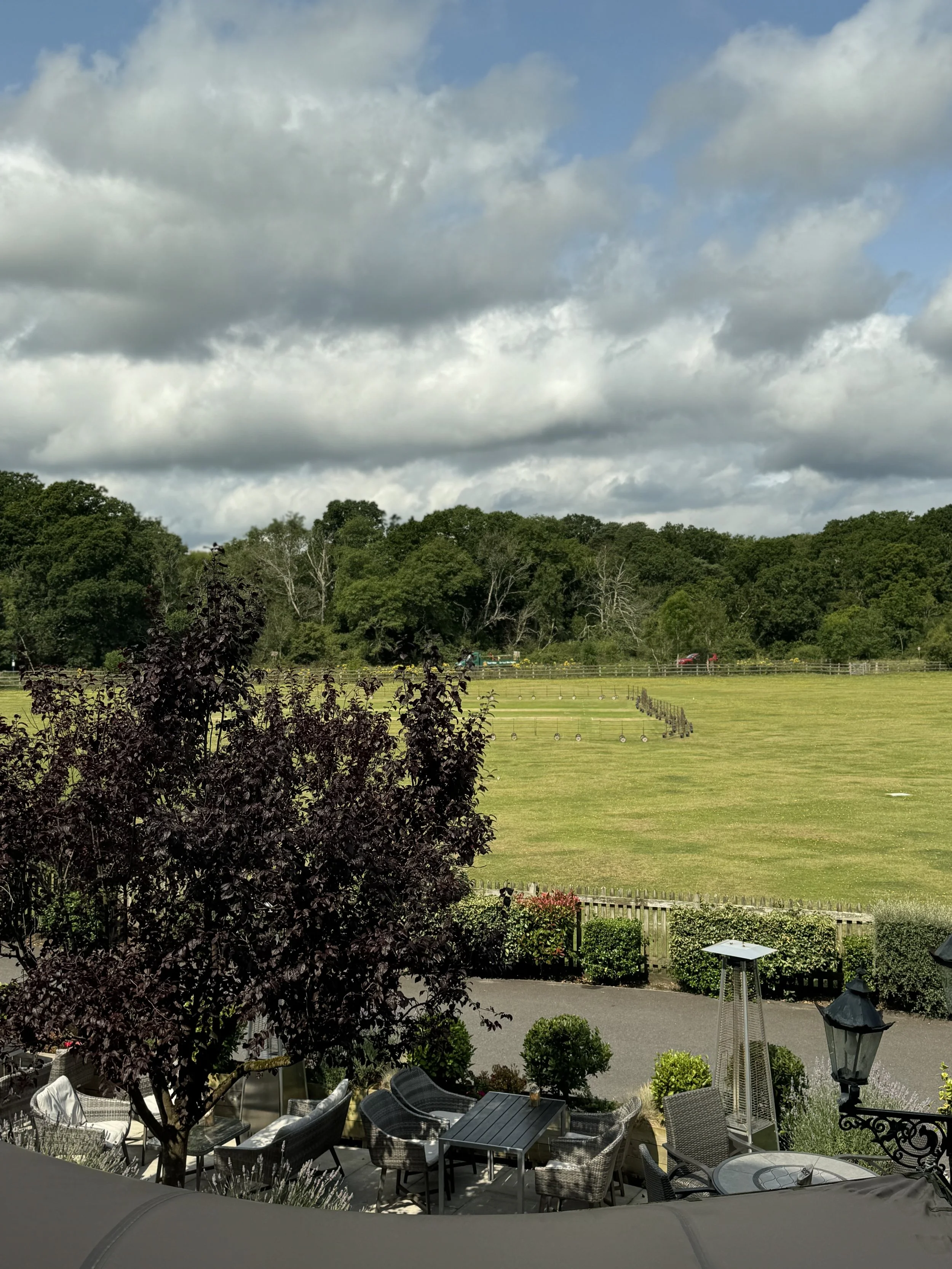 Outdoor patio with chairs, tables, and potted plants overlooking a large grassy field with trees and cloudy sky in the distance.