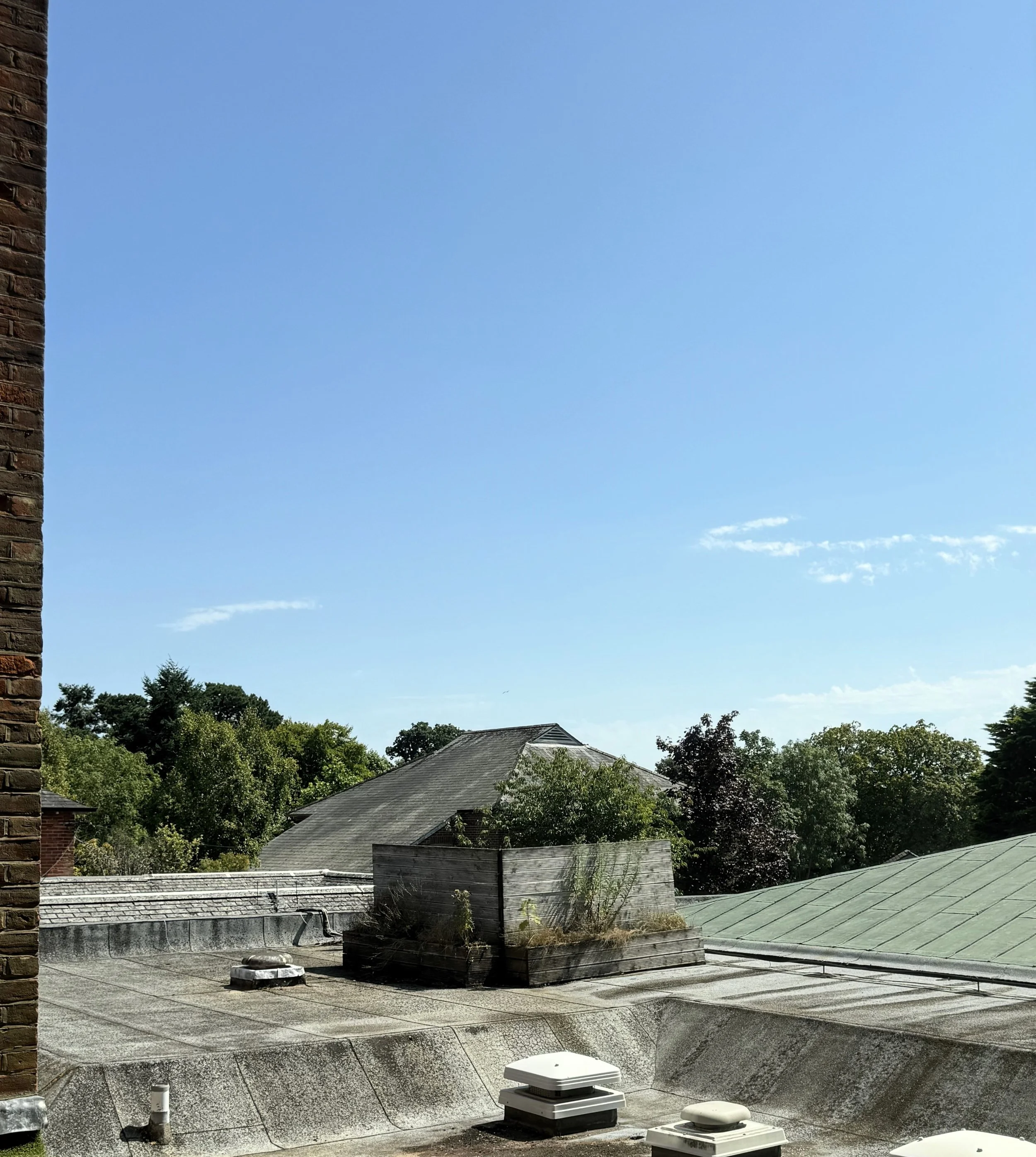 View of rooftops with a small garden on a rooftop, trees in the background, and a clear blue sky.