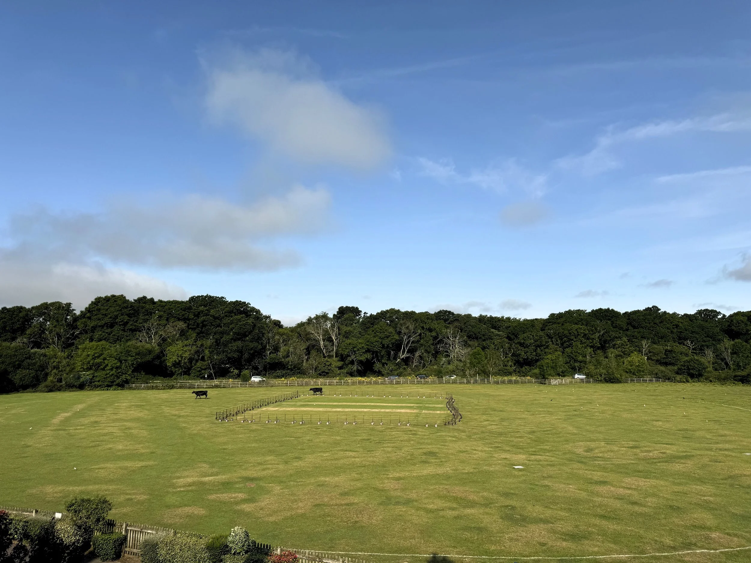 A lush green pasture with two cows, a fenced area, trees in the background, and a partly cloudy sky.