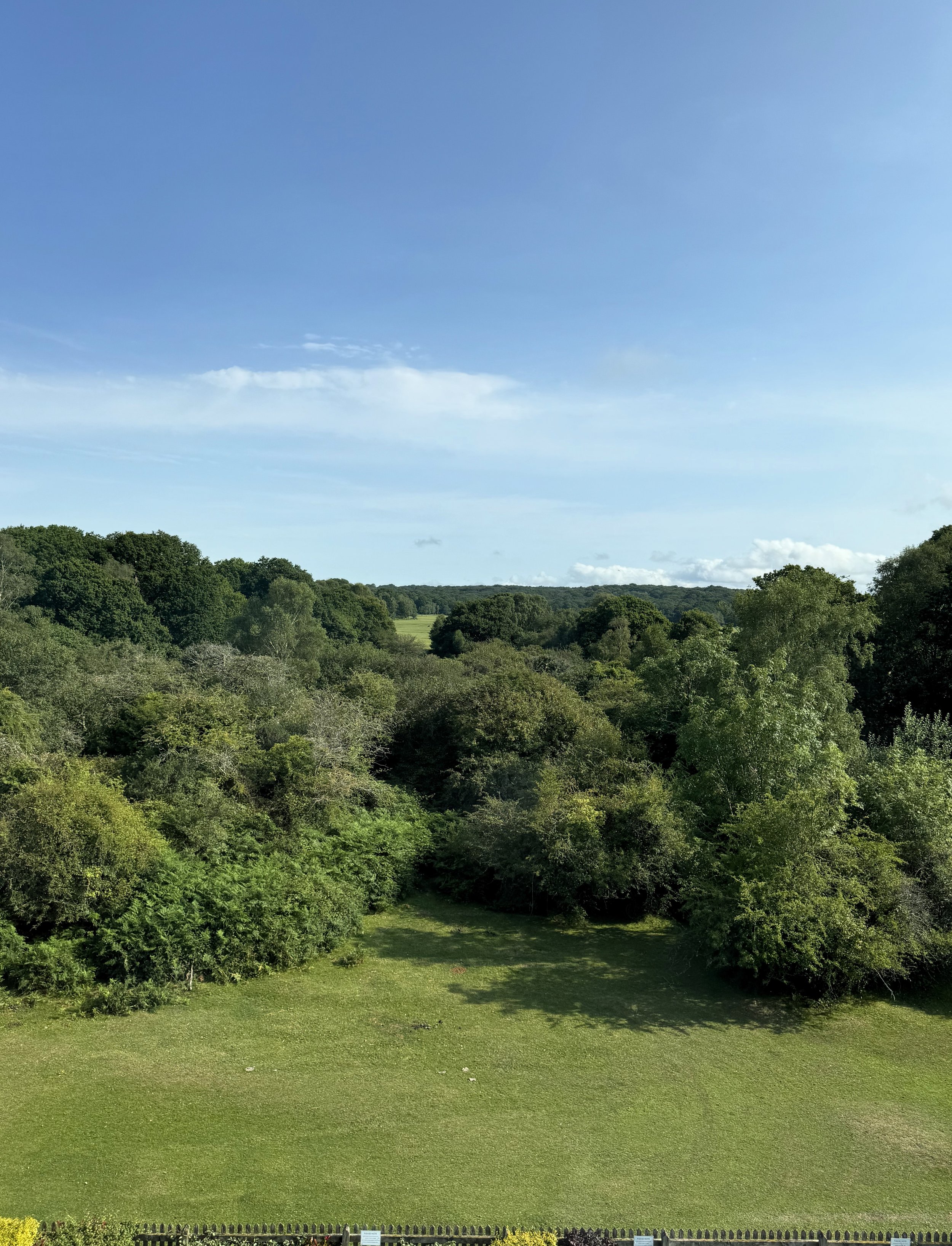 Green grassy field with trees and bushes under a blue sky with some clouds