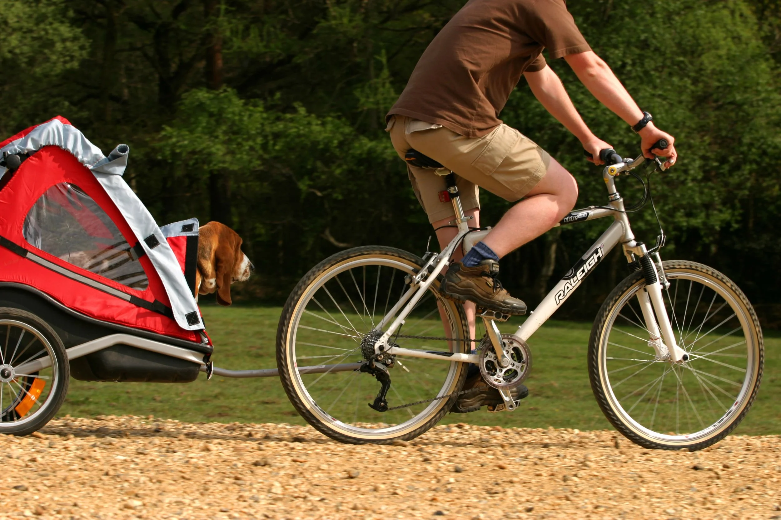 nfdc_Cyclists_2566.jpg