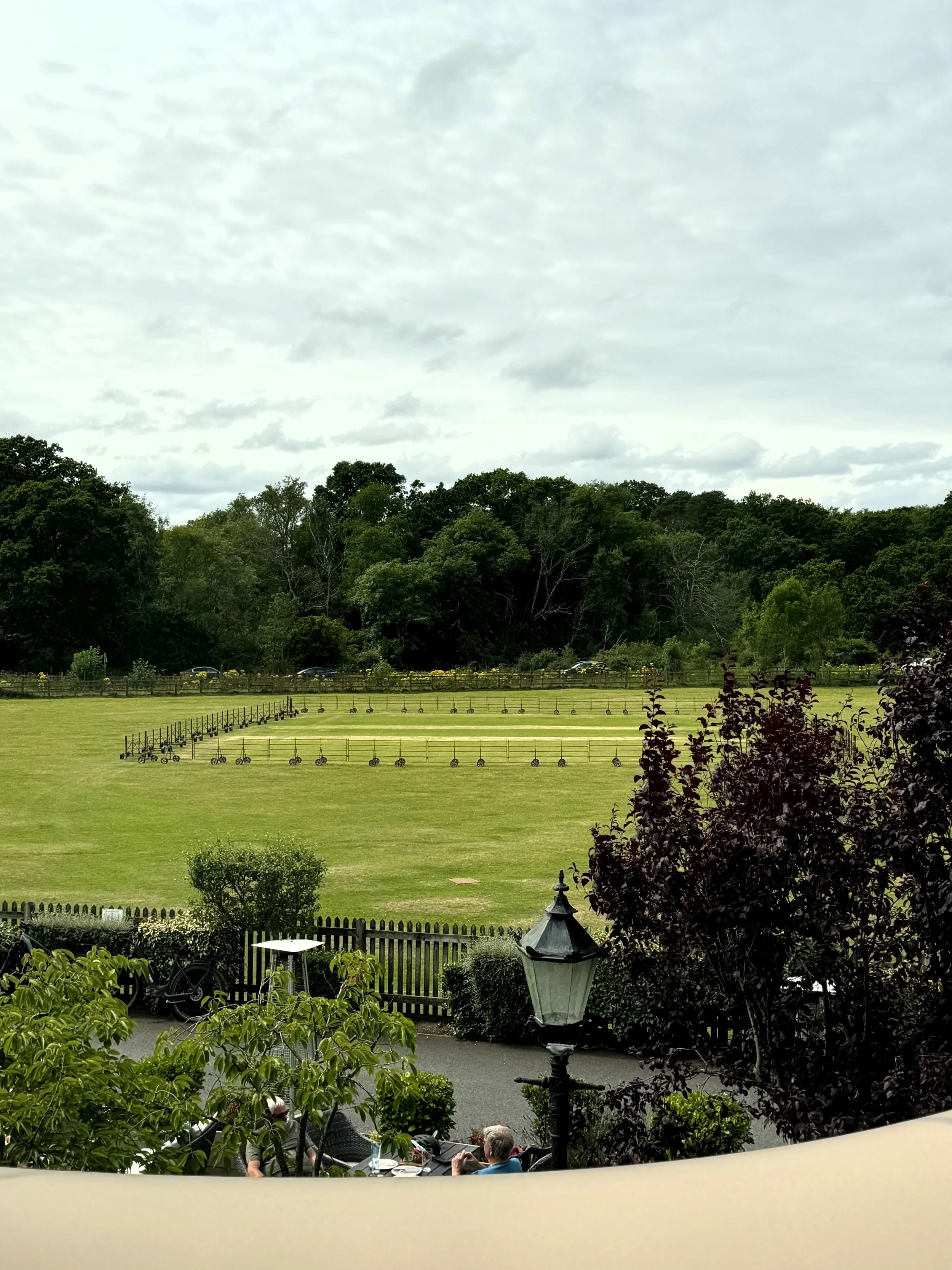 View of outdoor wedding preparations with arranged chairs and flags in a grassy area, surrounded by trees under a cloudy sky.