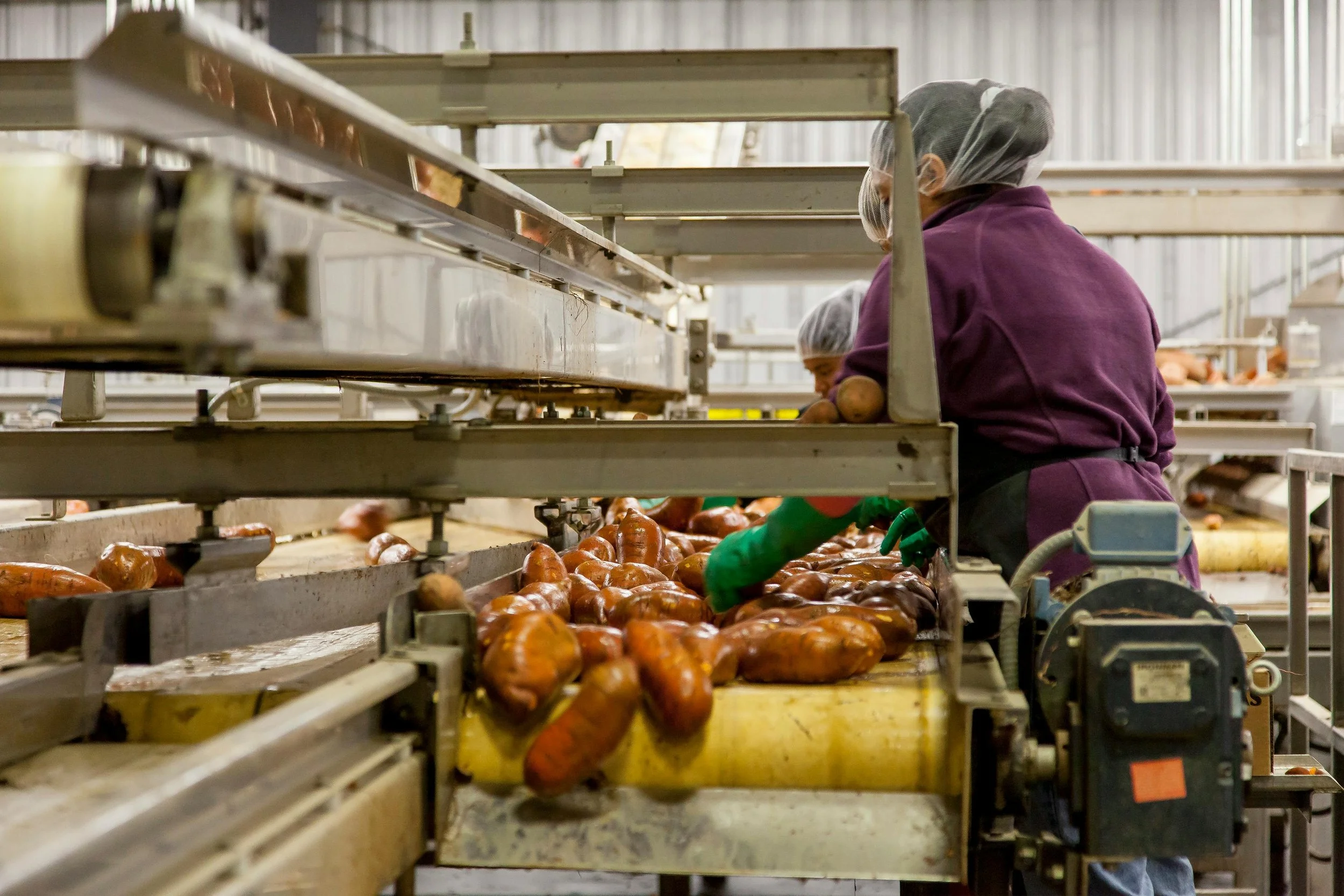 Muestreo microbiológico de superficies: clave para la inocuidad en alimentos y salud