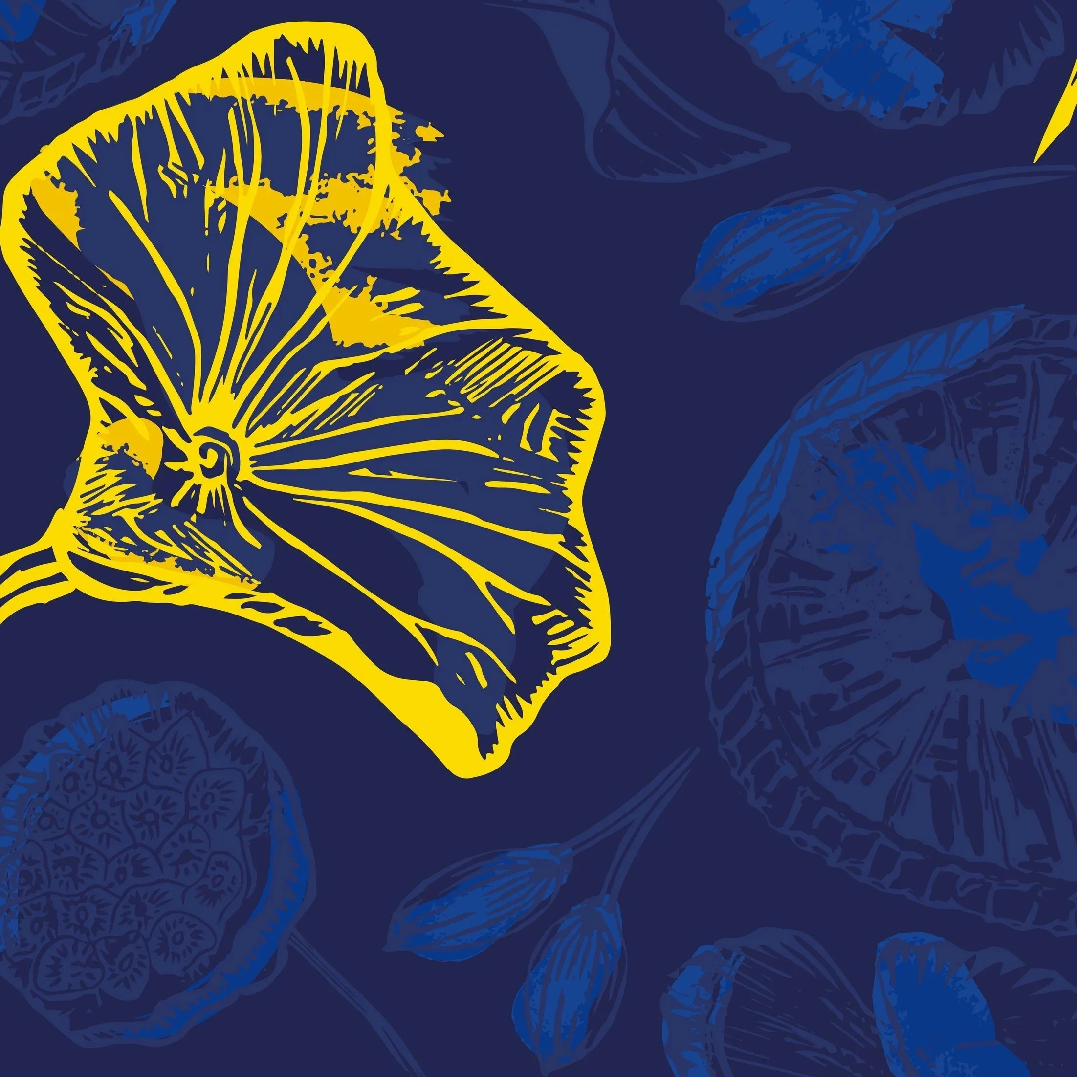 Lemon giant lily pad