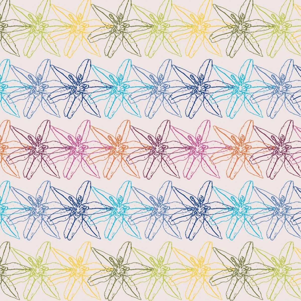 Rainbow lily silhouettes