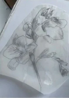 Sketch of flowers drawn with a pencil on paper.