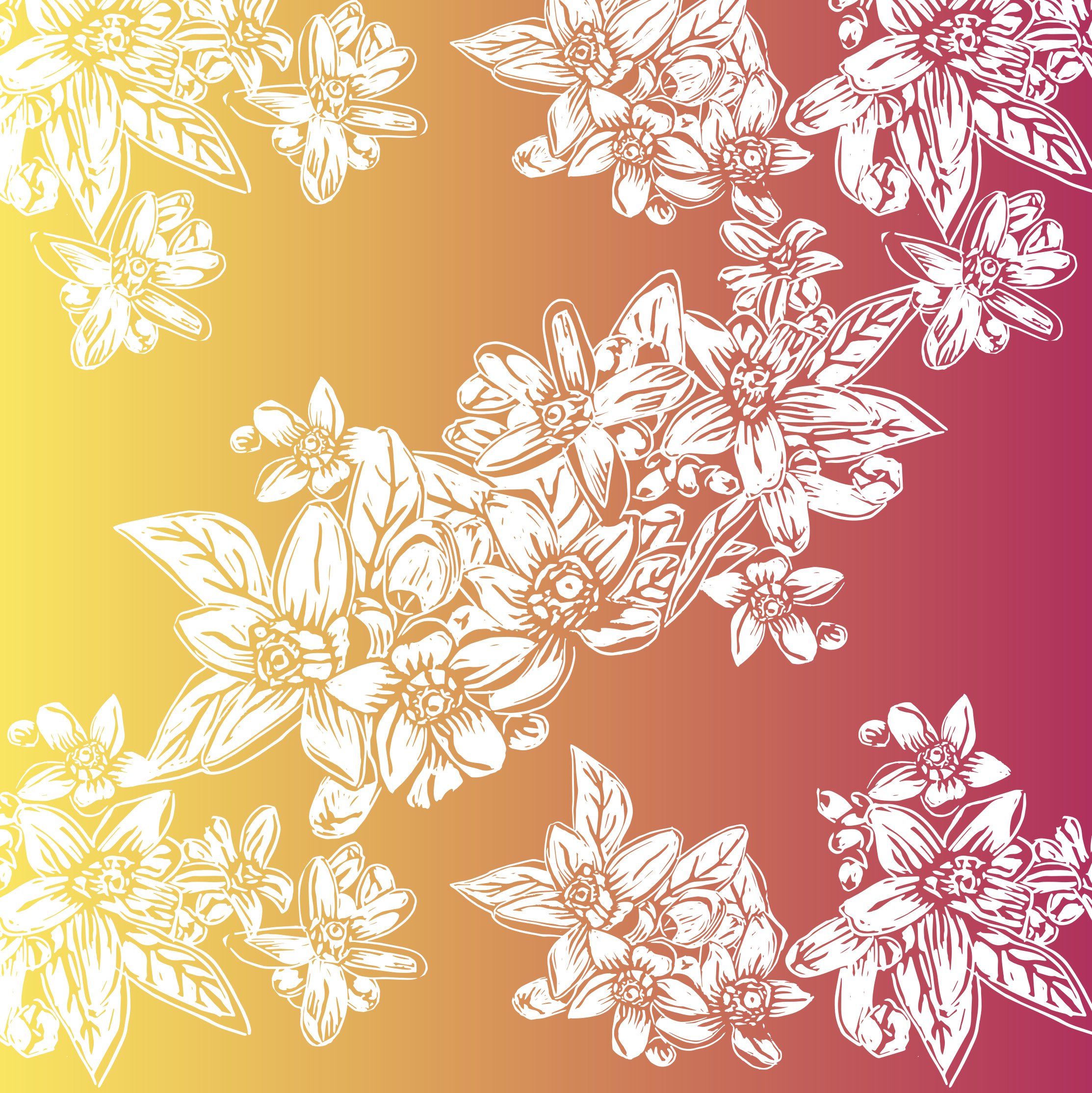Citrus blooms