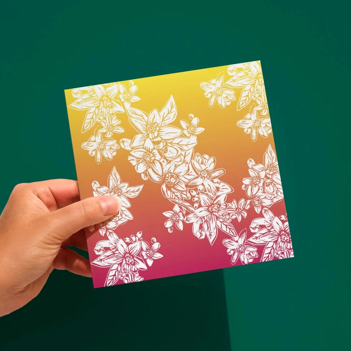 Bergamot flowers greeting card
