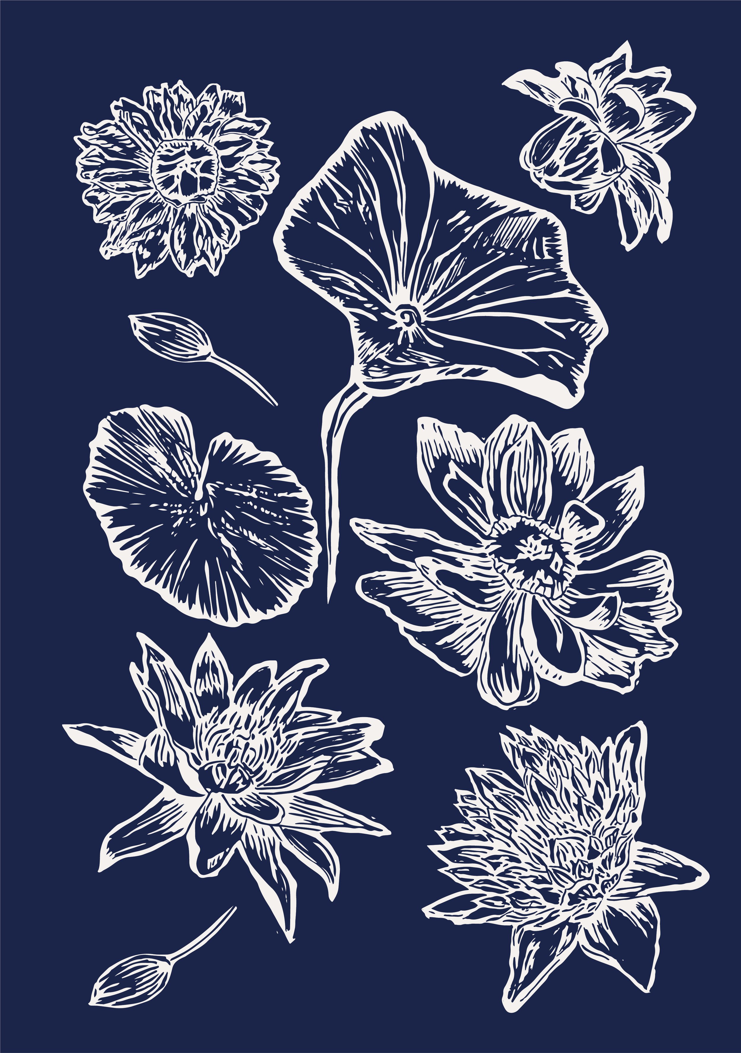 Water lily placement print- navy