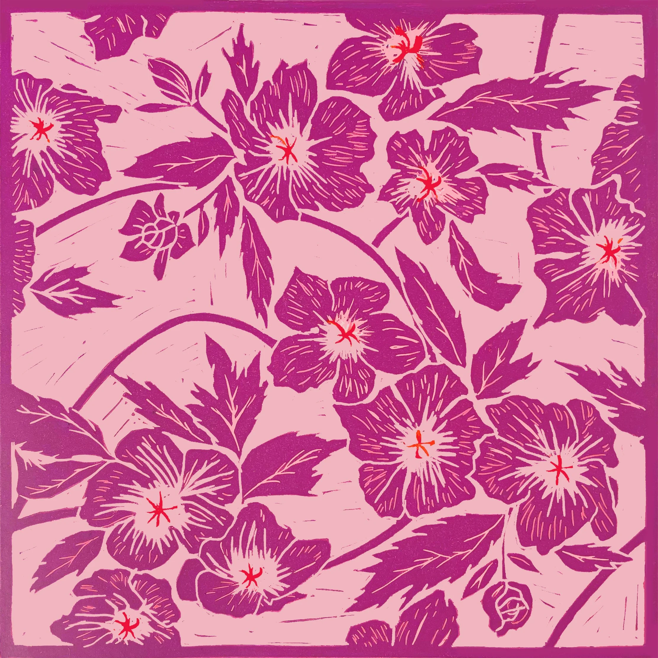 Hellebore placement print