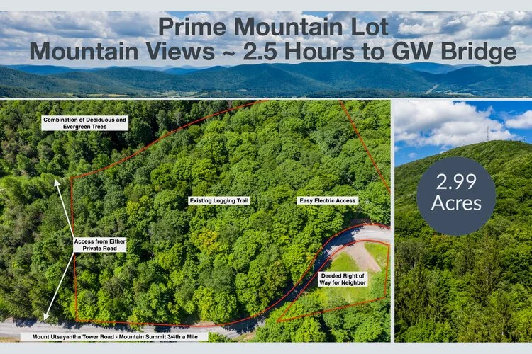 Mount Utsayantha Tower Road, Stamford.jpeg