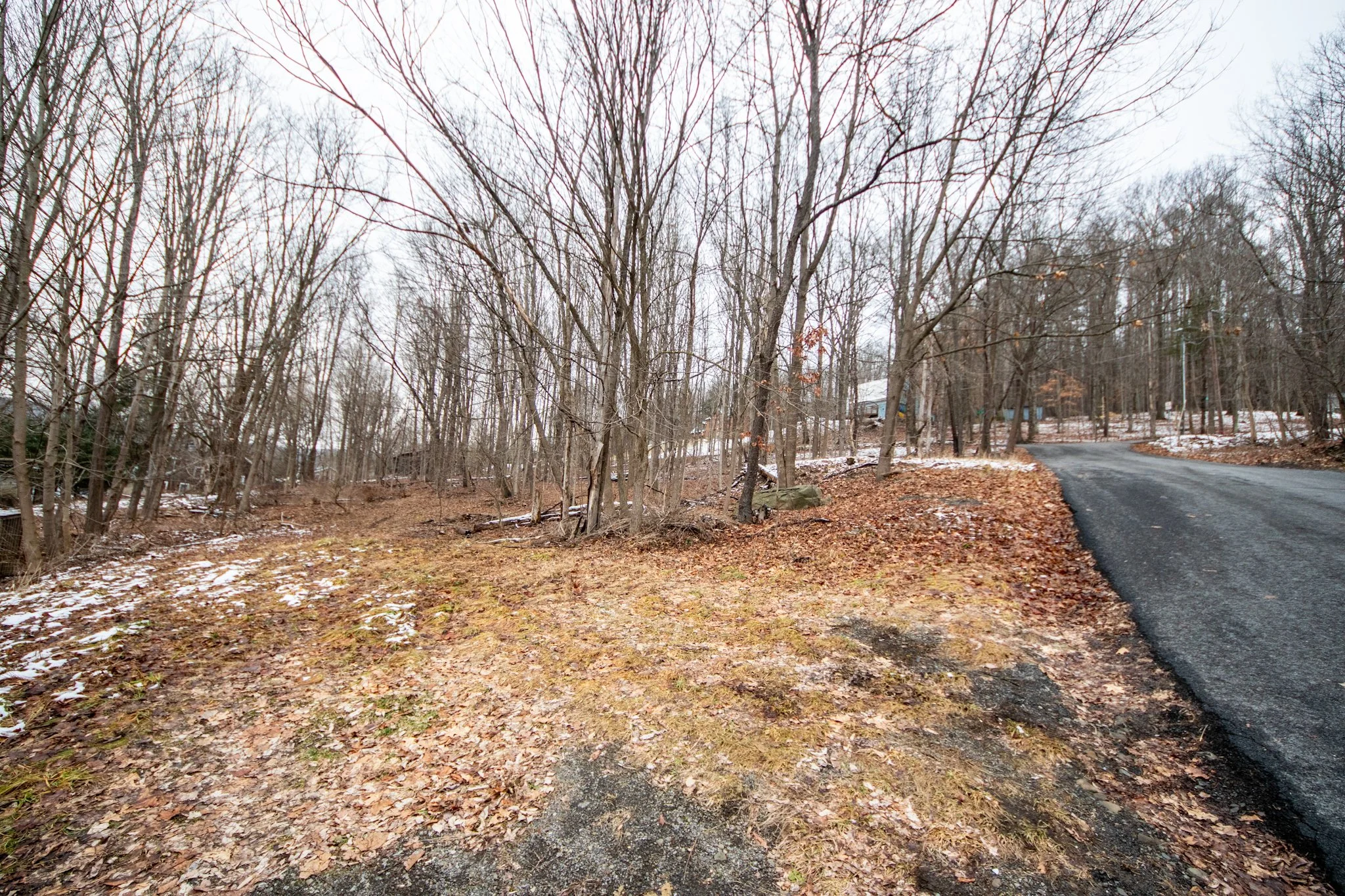 IMG_2844.jpg