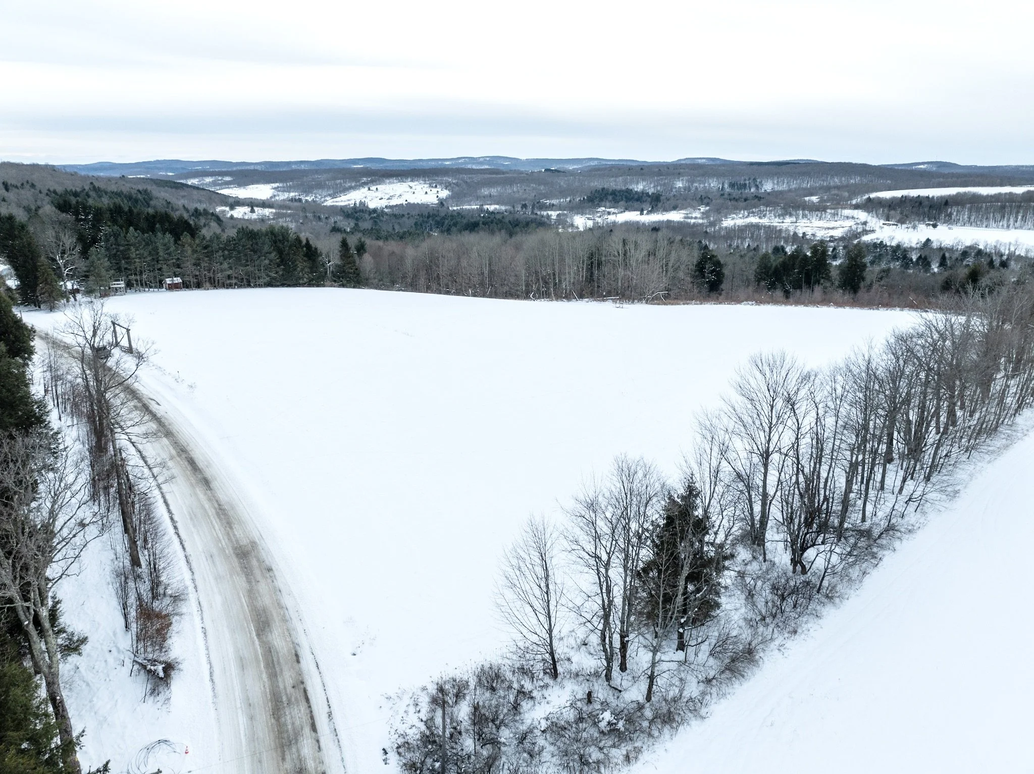 DJI_0705.jpg
