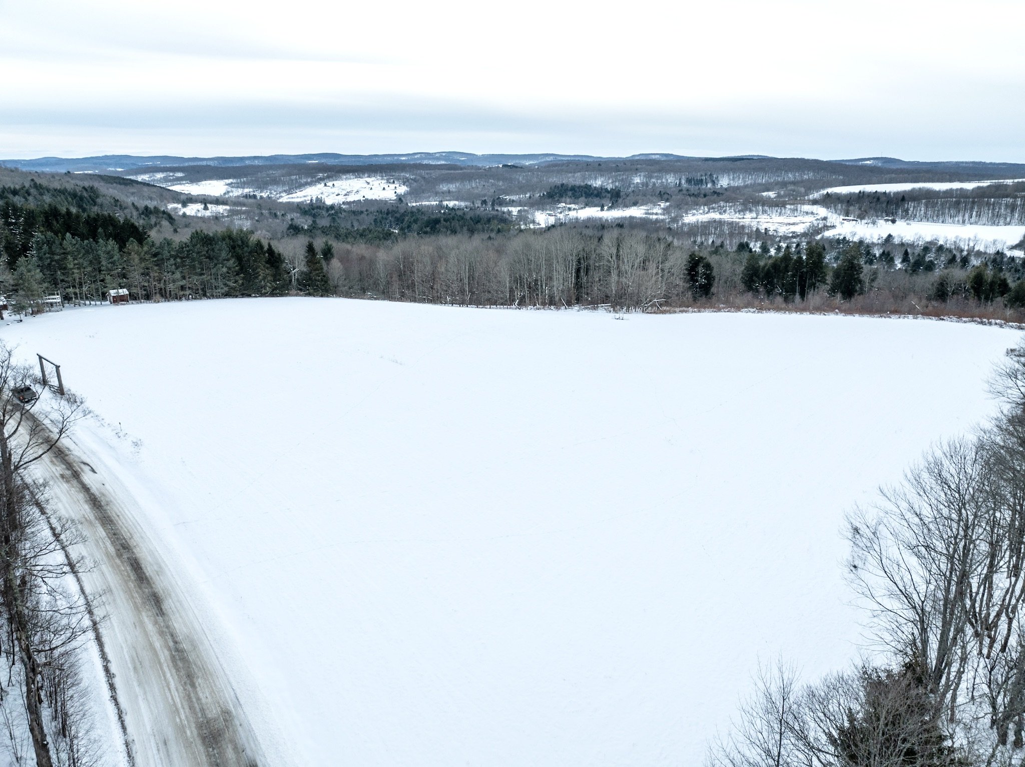 DJI_0706.jpg