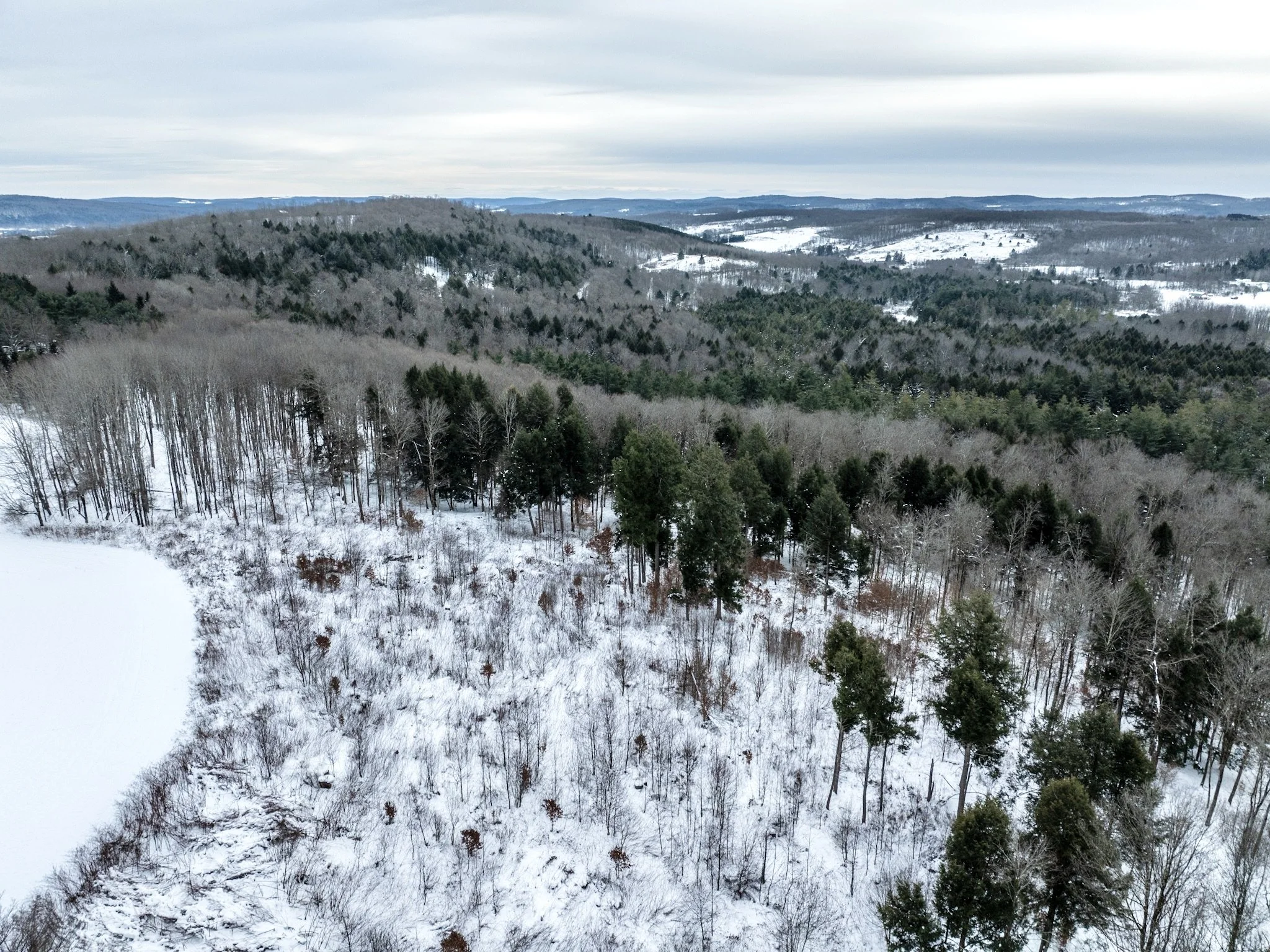 DJI_0709.jpg