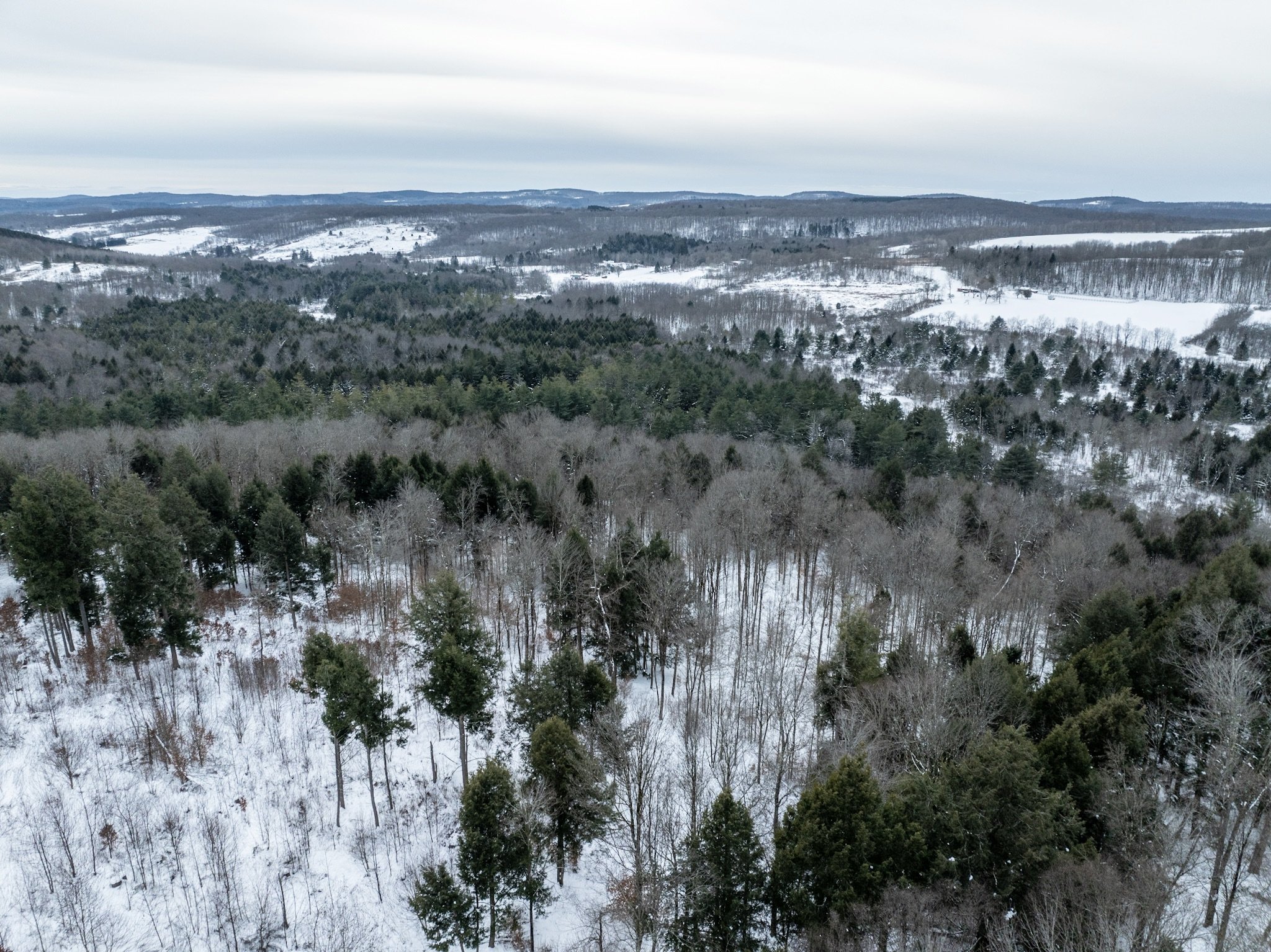 DJI_0710.jpg