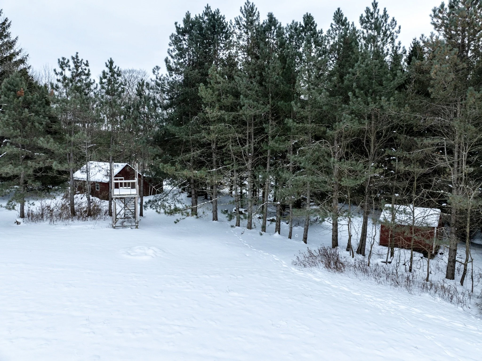 DJI_0712.jpg