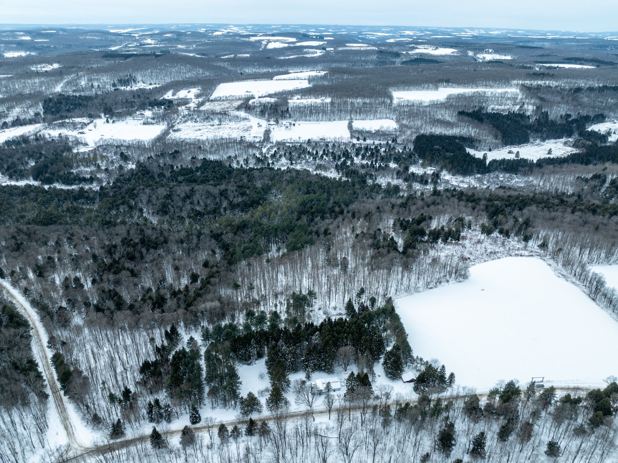 DJI_0729.jpg