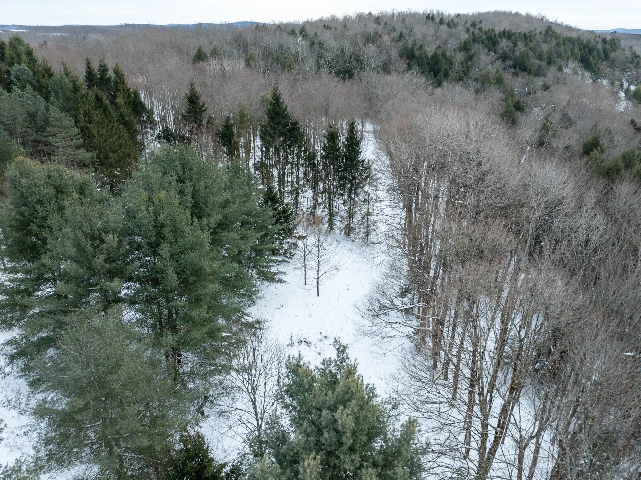DJI_0753.jpg