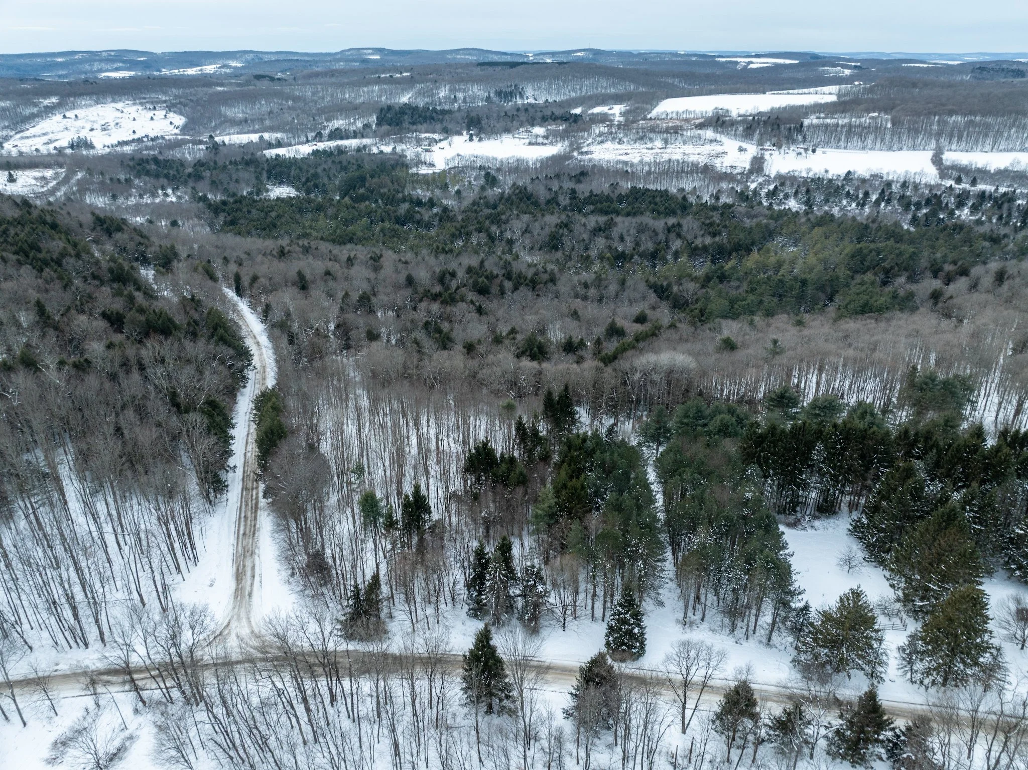 DJI_0756.jpg