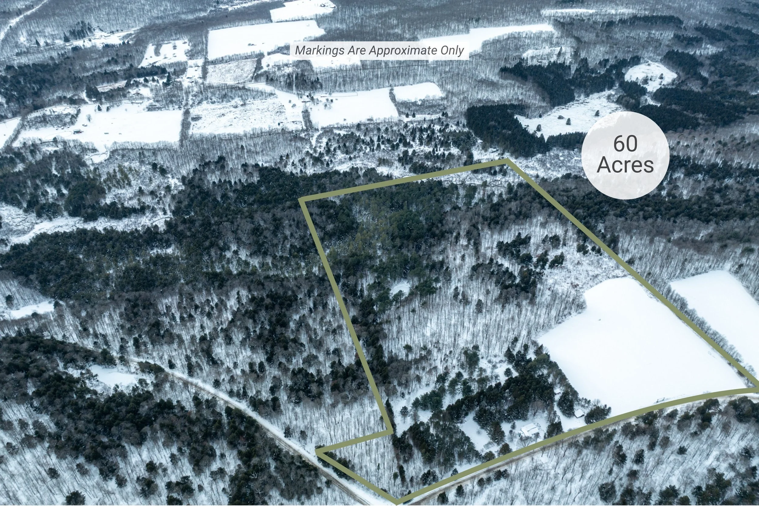 Aerial Outline_675 Spurr St.jpg
