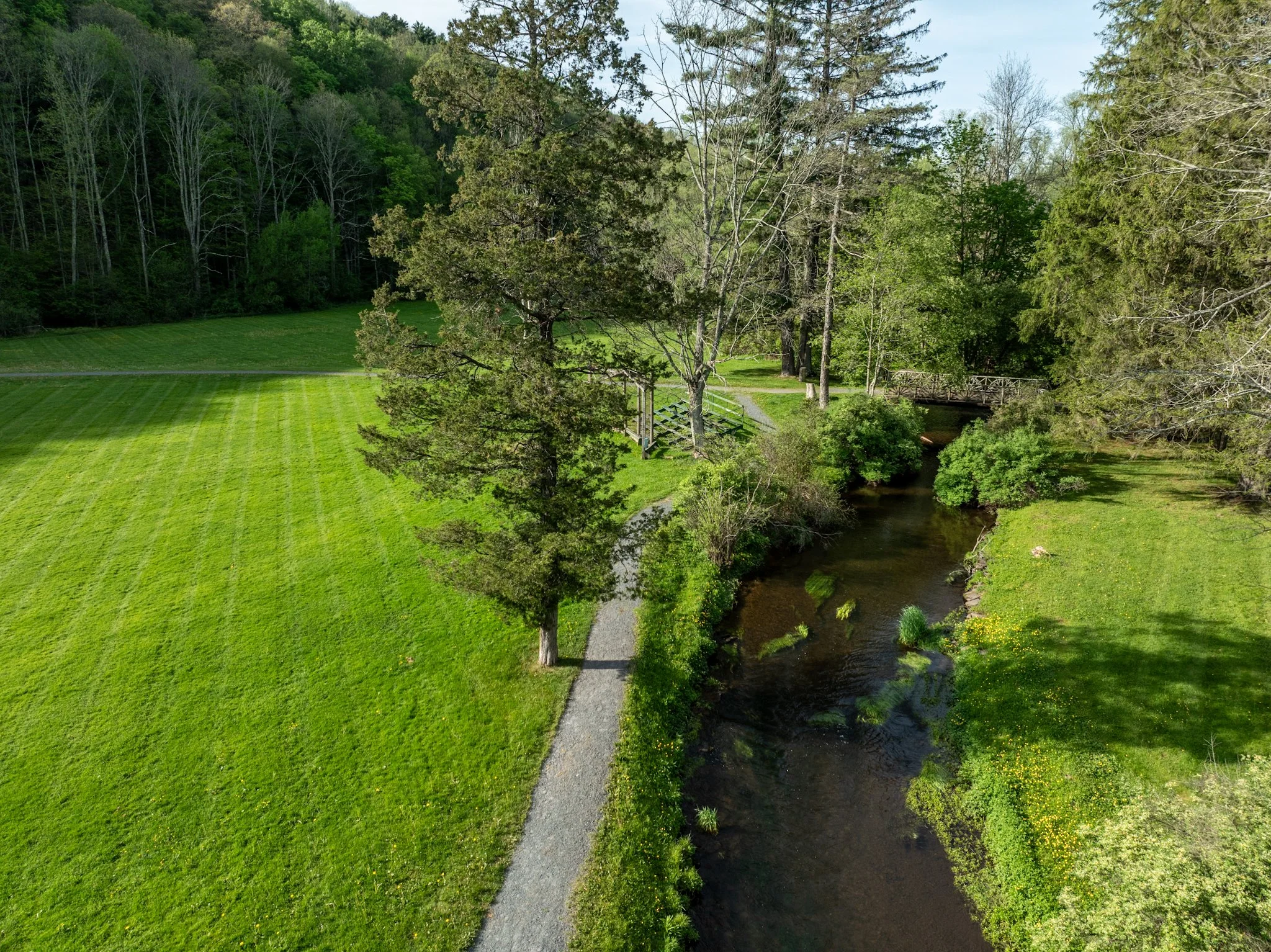 DJI_0859.jpg