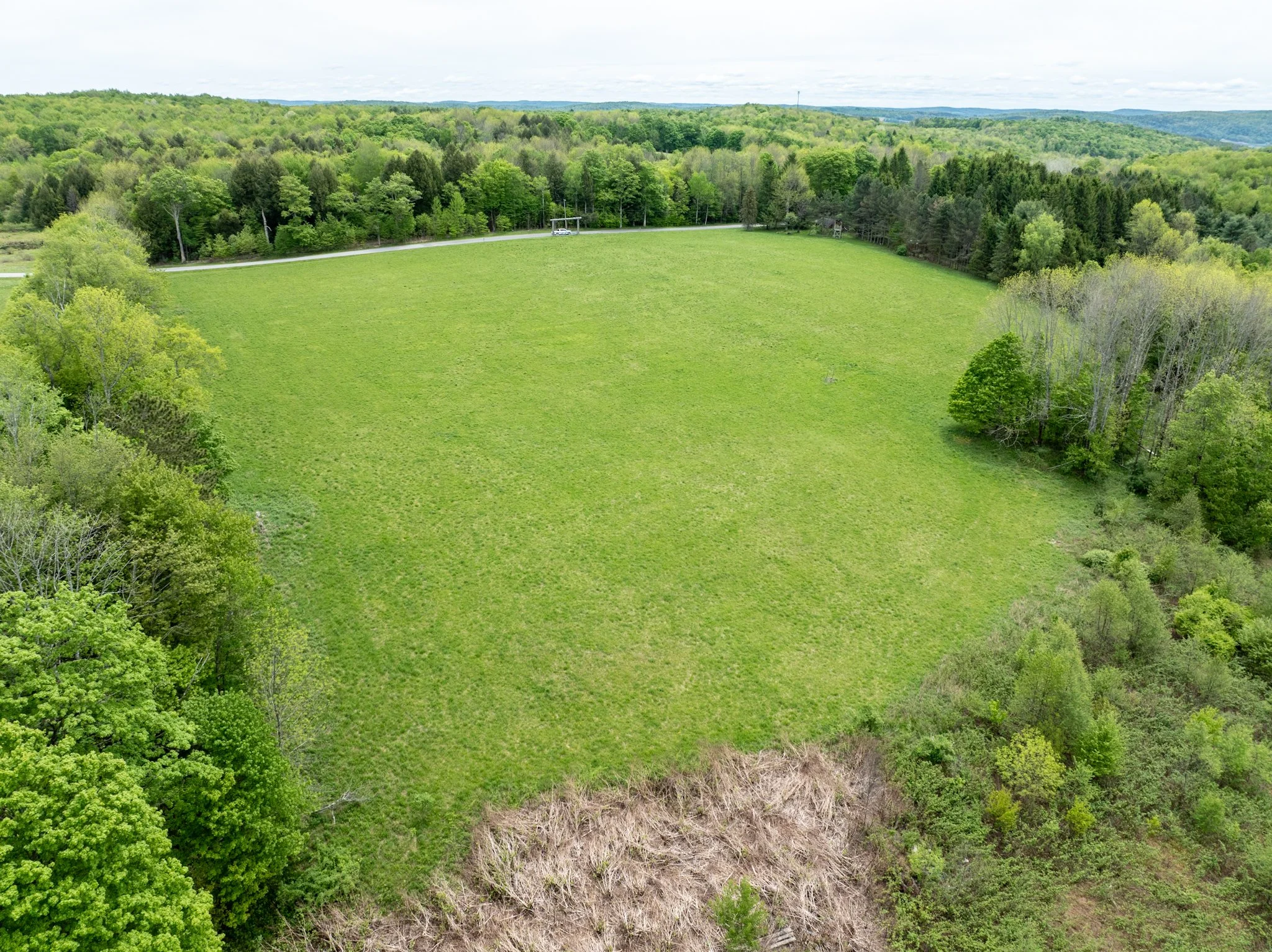 DJI_0915.jpg
