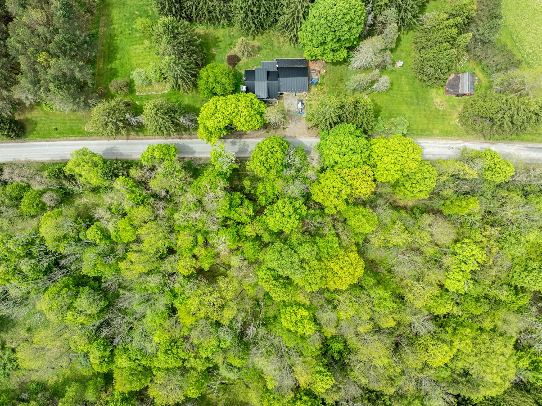 DJI_0924.jpg