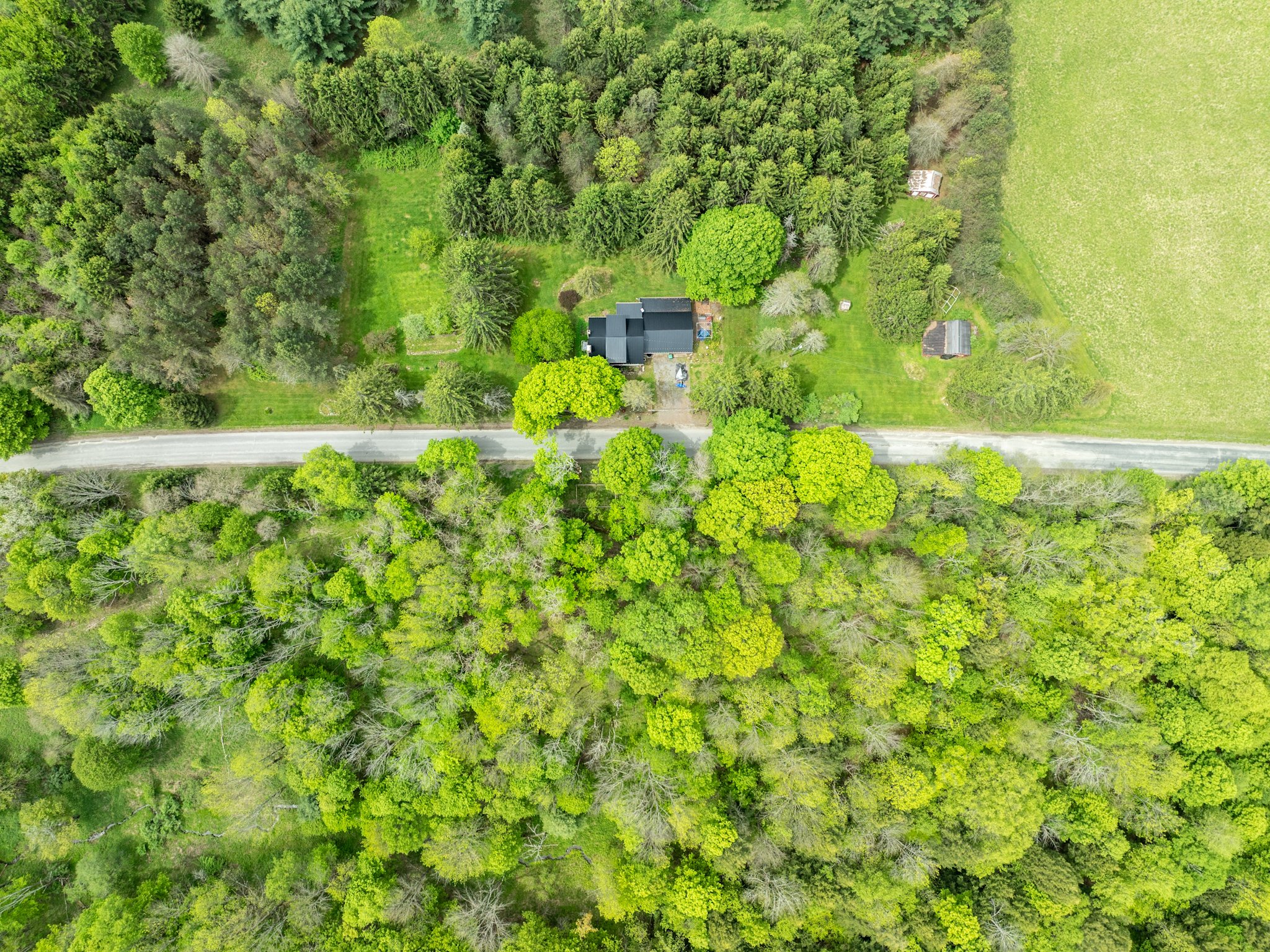 DJI_0925.jpg
