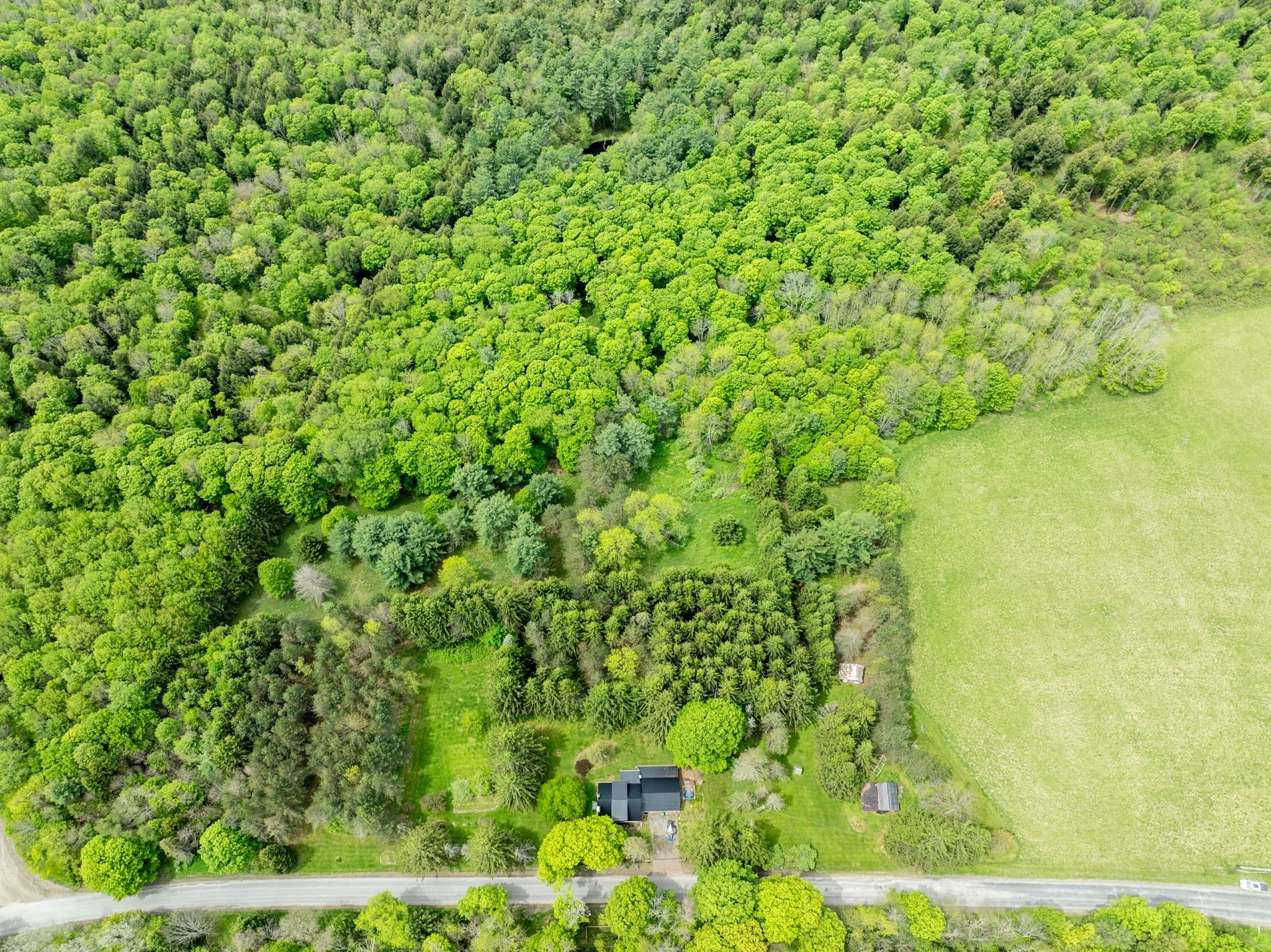 DJI_0926.jpg