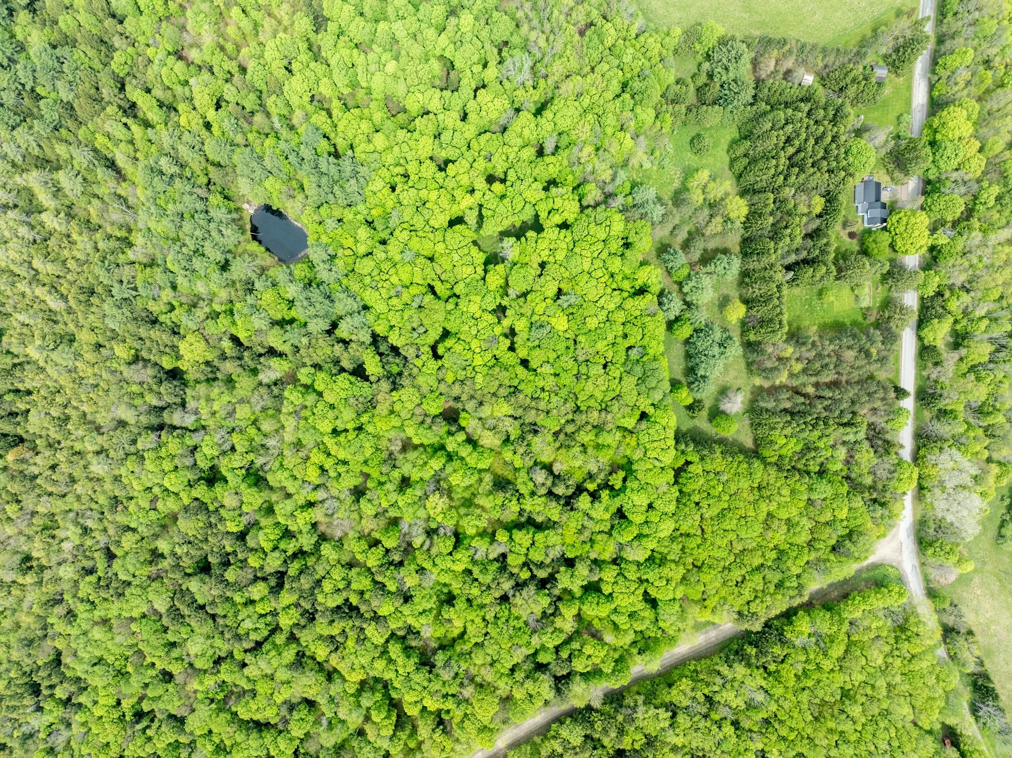DJI_0928.jpg