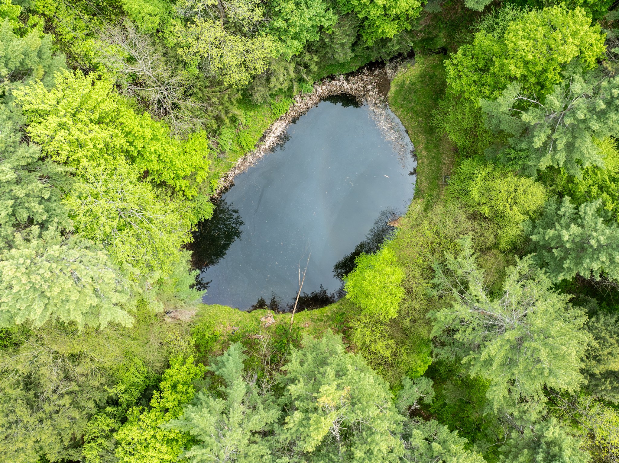 DJI_0929.jpg