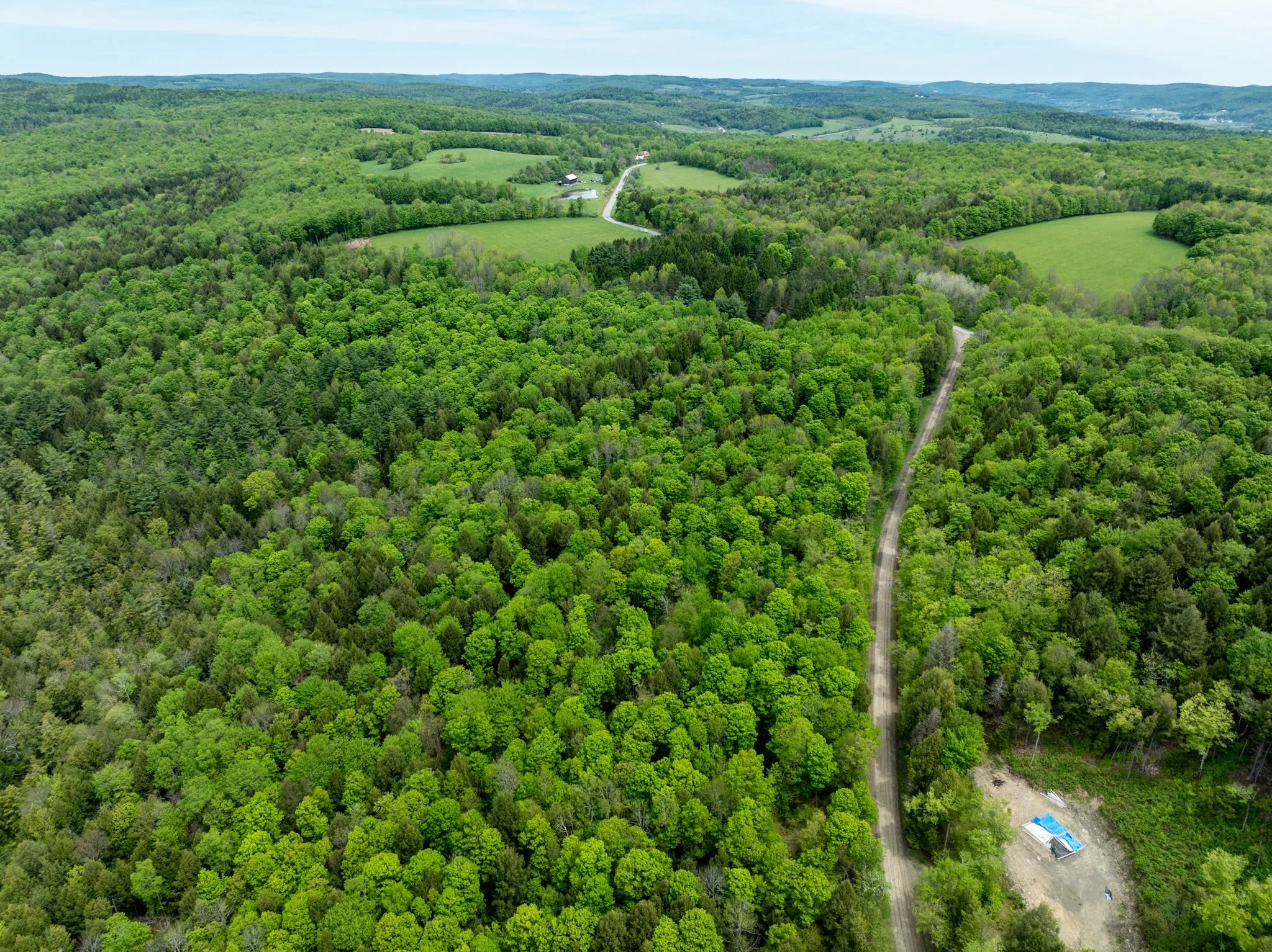 DJI_0932.jpg