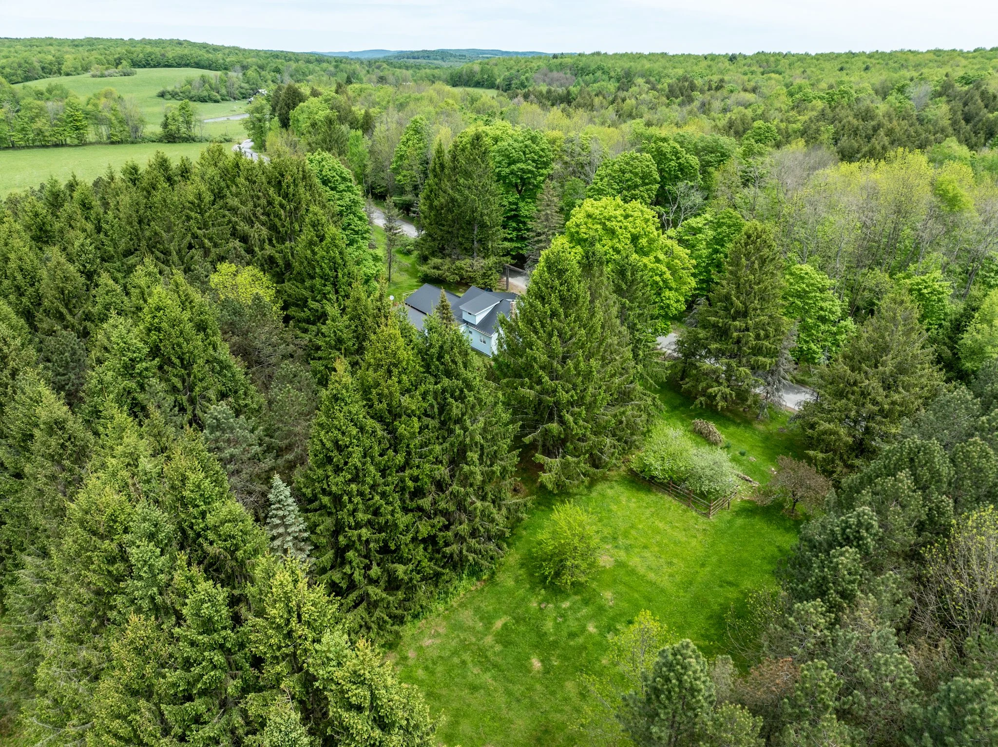 DJI_0936.jpg