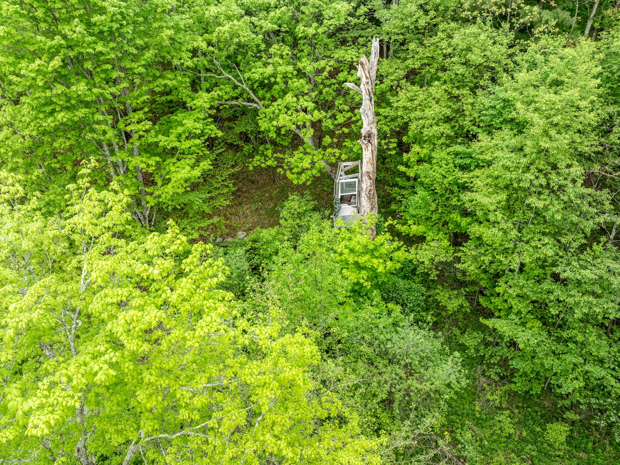 DJI_0867.jpg