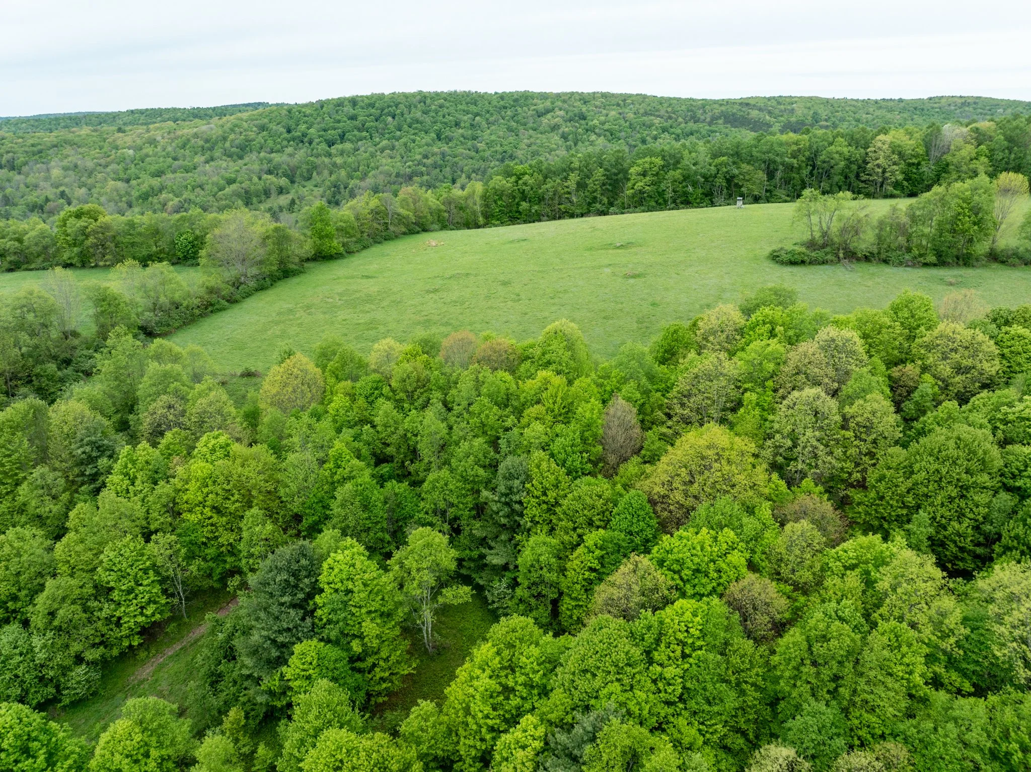 DJI_0868.jpg