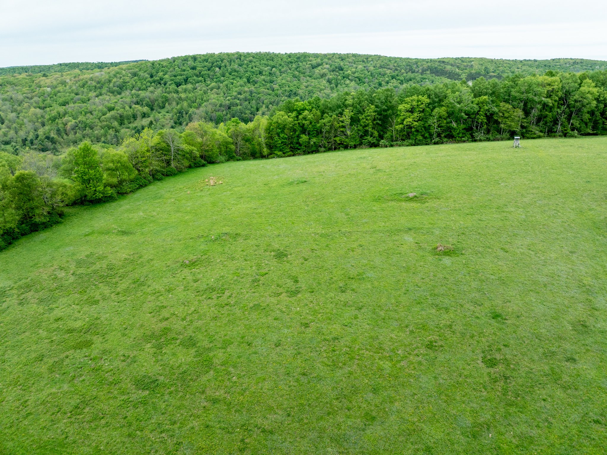 DJI_0869.jpg