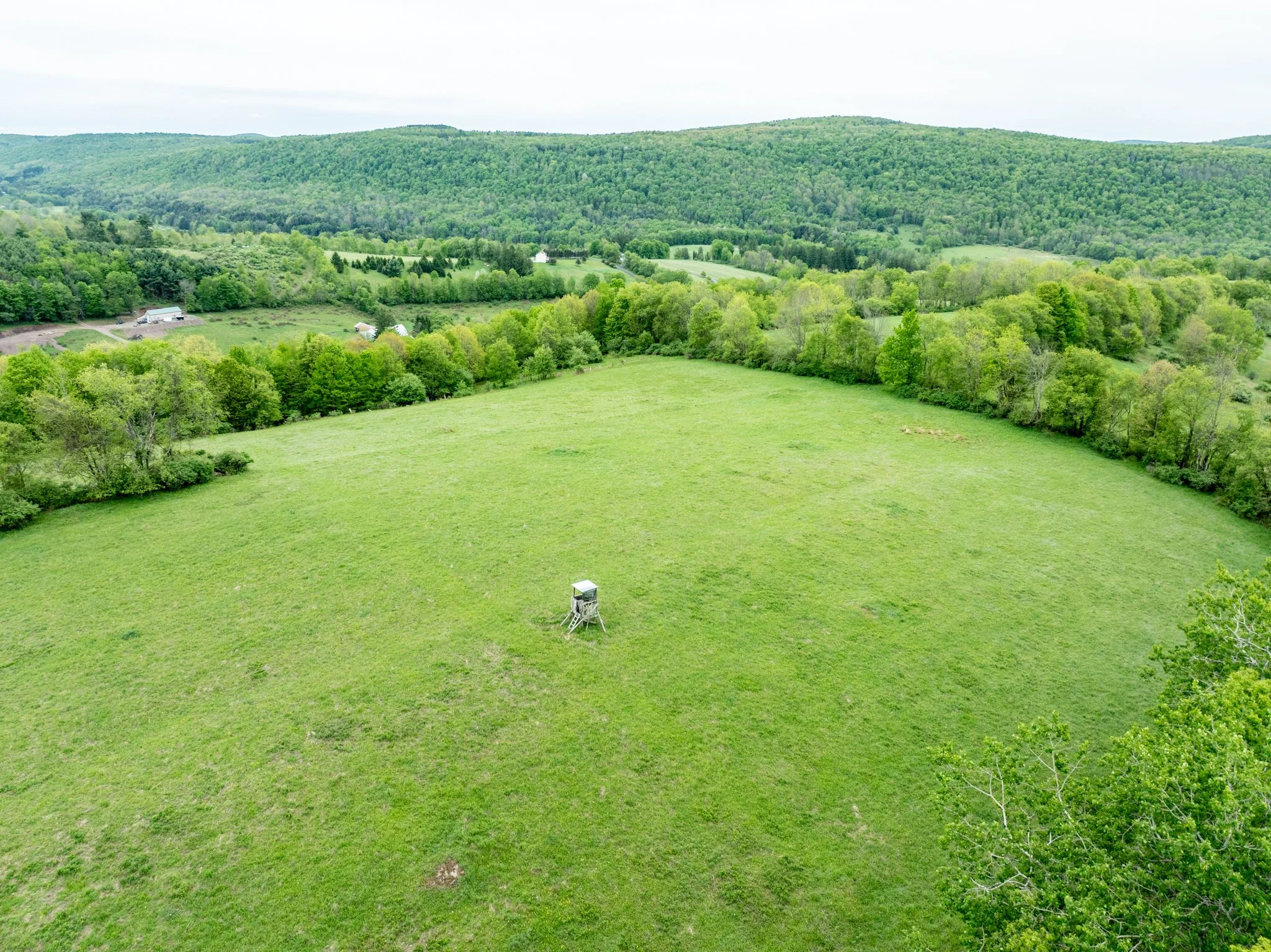 DJI_0871.jpg