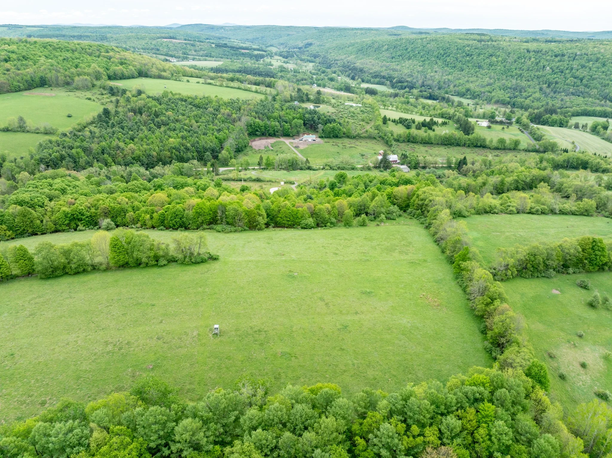 DJI_0872.jpg