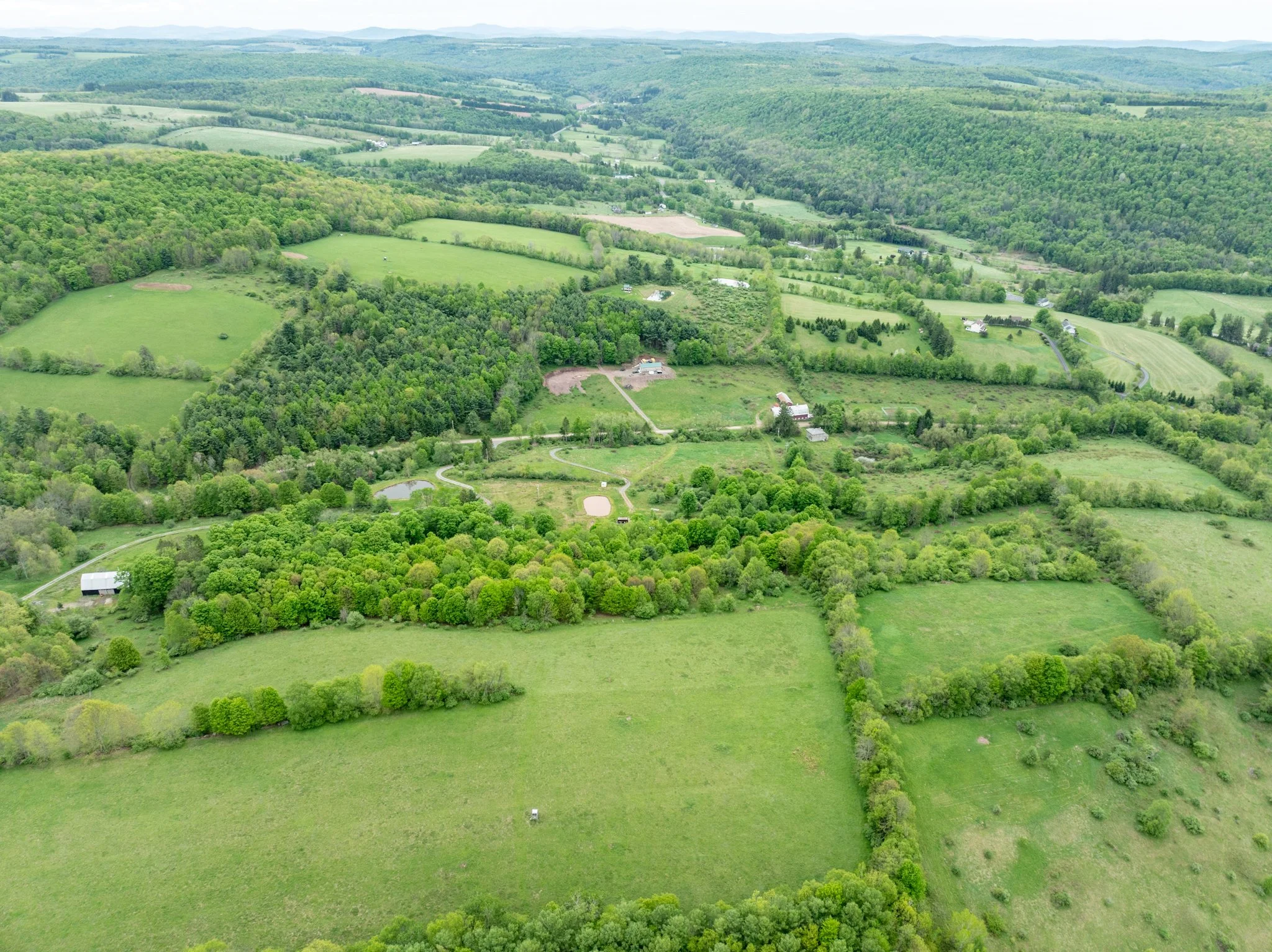 DJI_0873.jpg