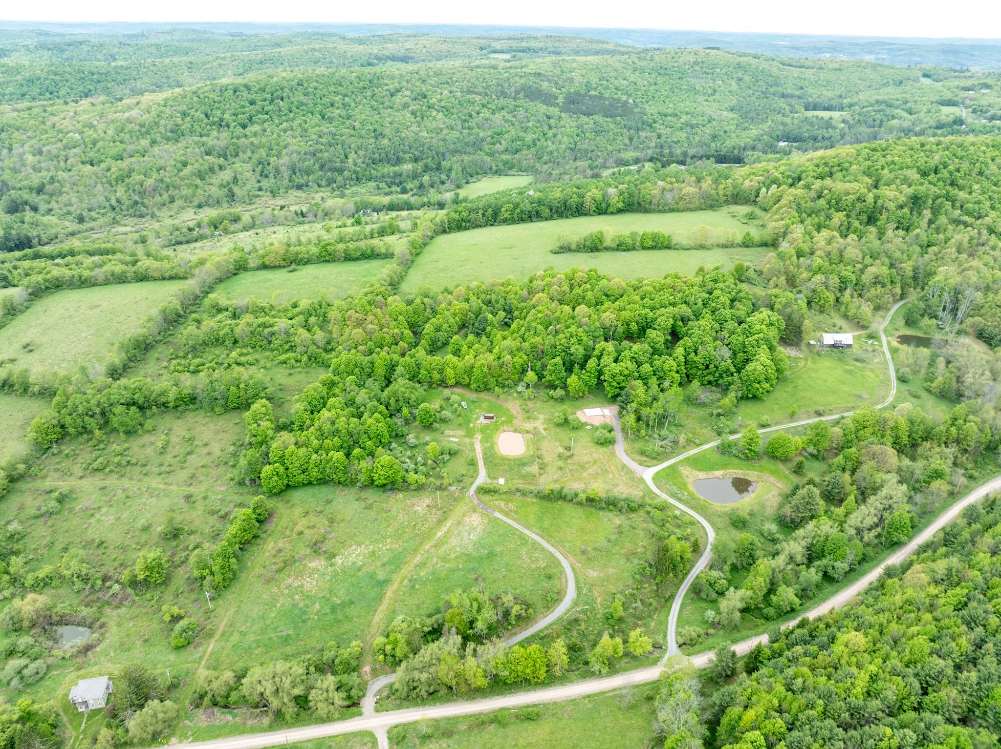 DJI_0875.jpg