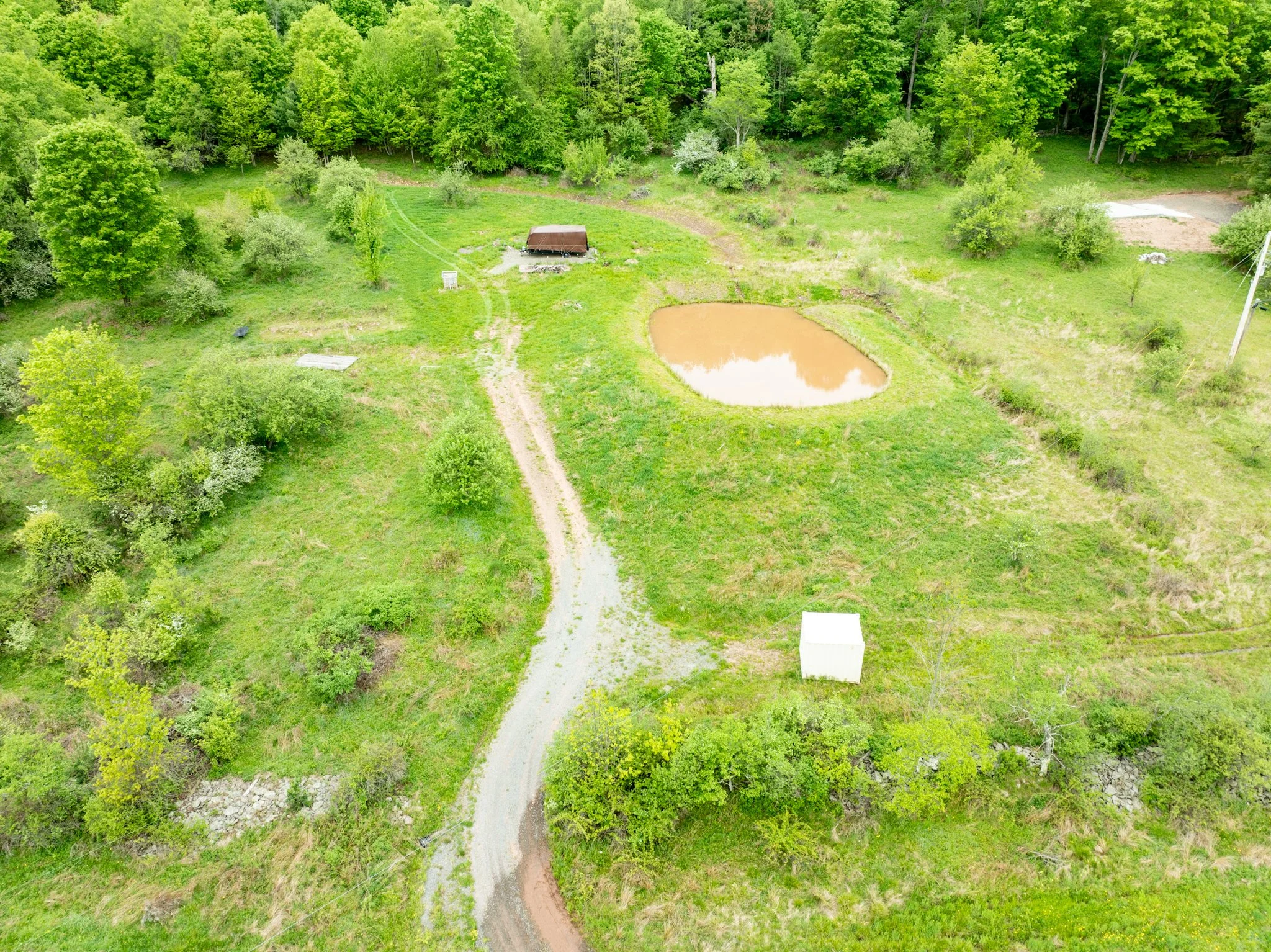 DJI_0878.jpg
