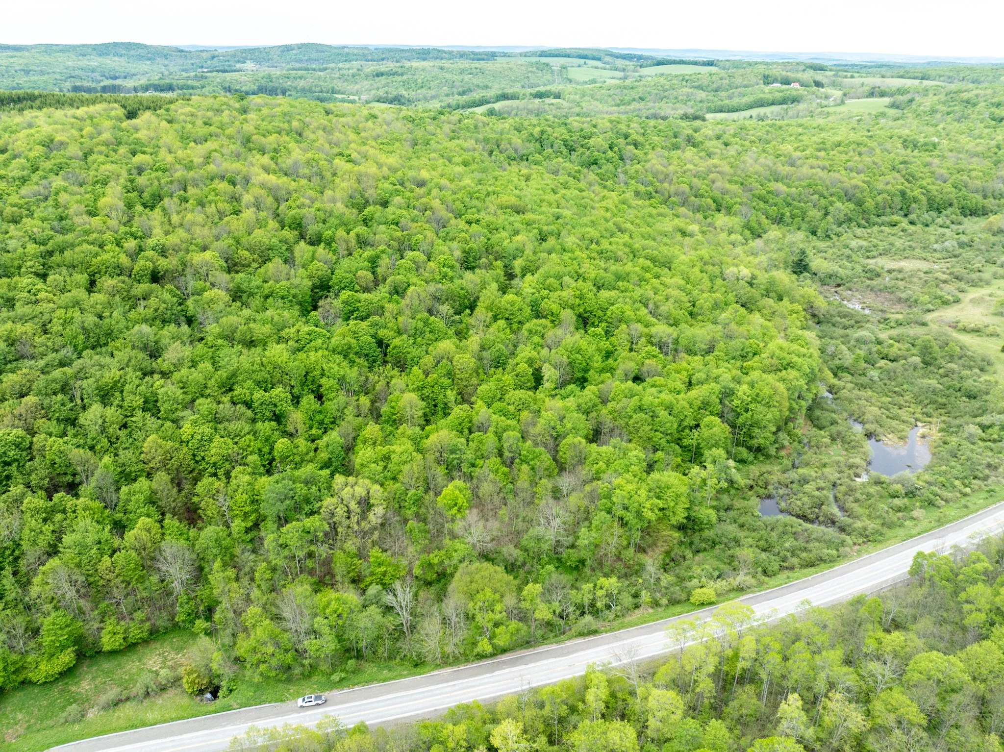 DJI_0890.jpg