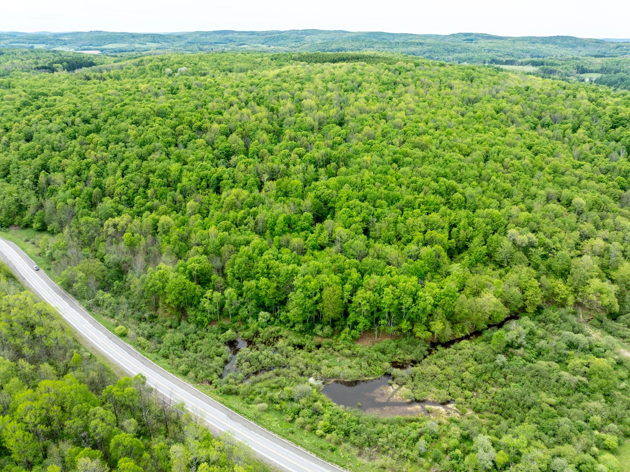 DJI_0891.jpg