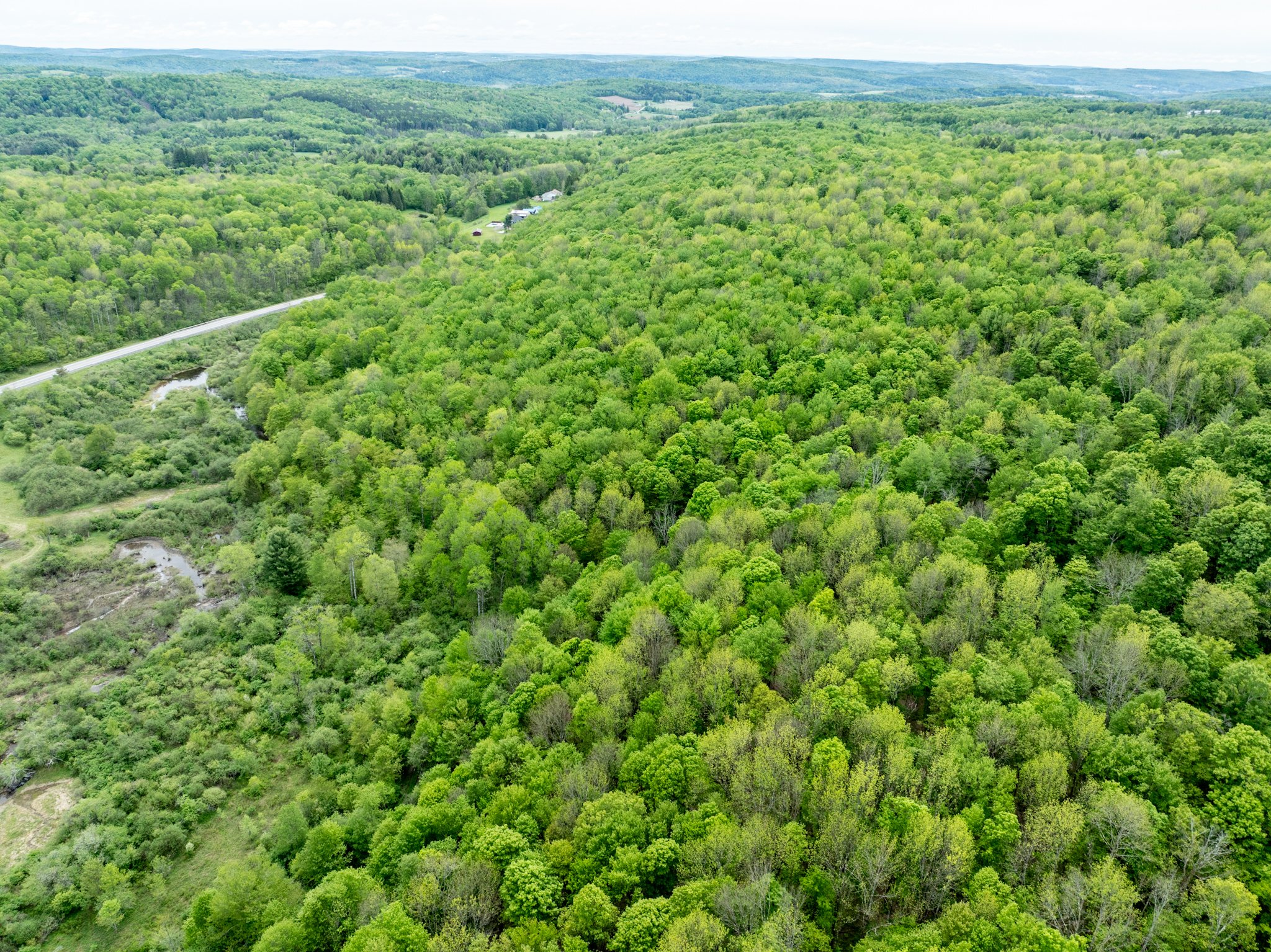 DJI_0893.jpg