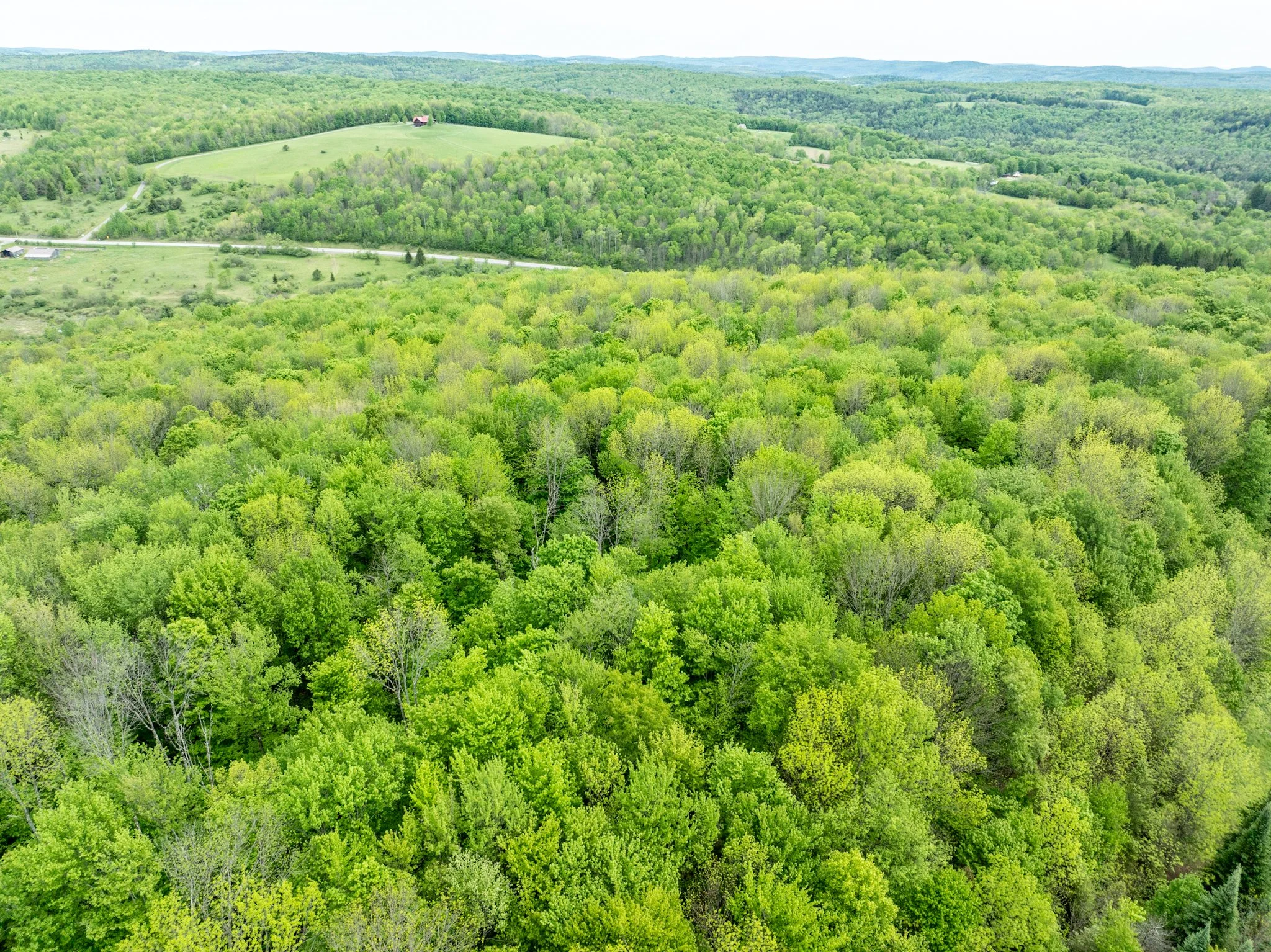 DJI_0895.jpg