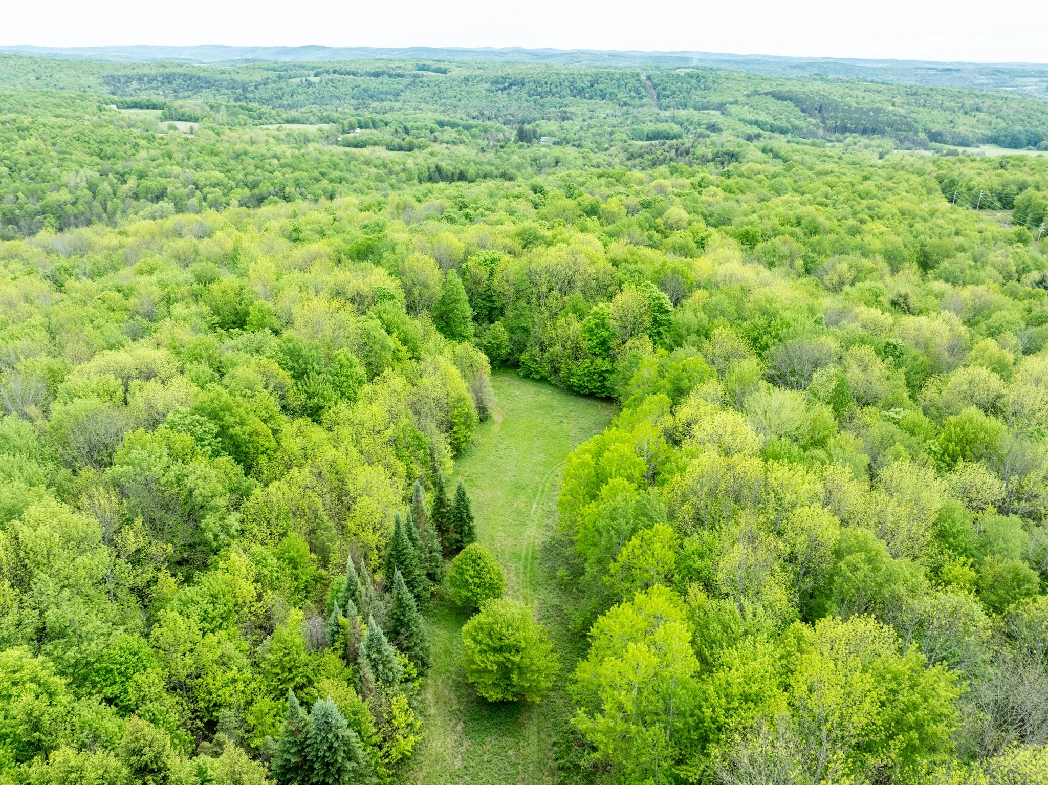 DJI_0898.jpg
