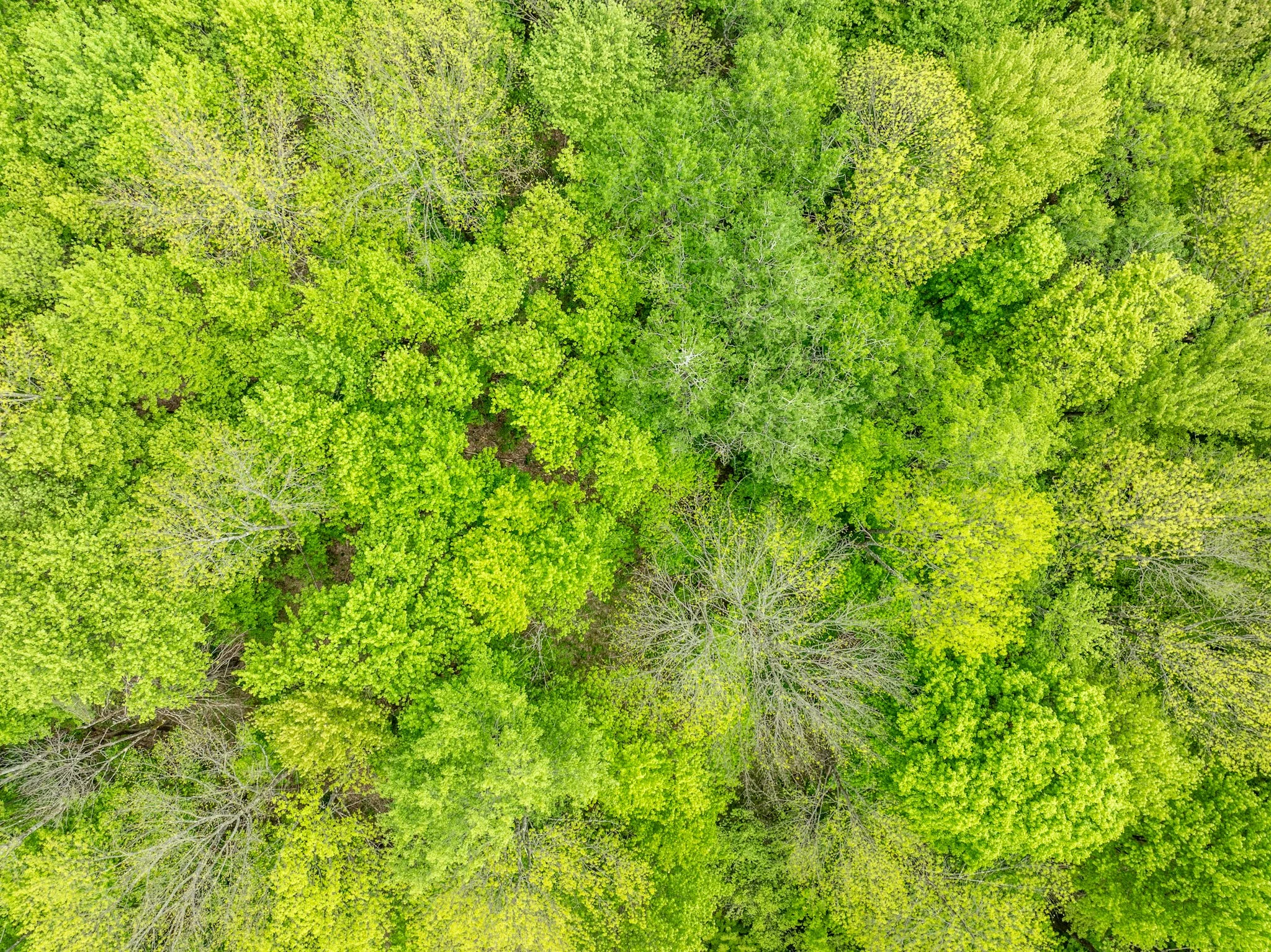 DJI_0901.jpg