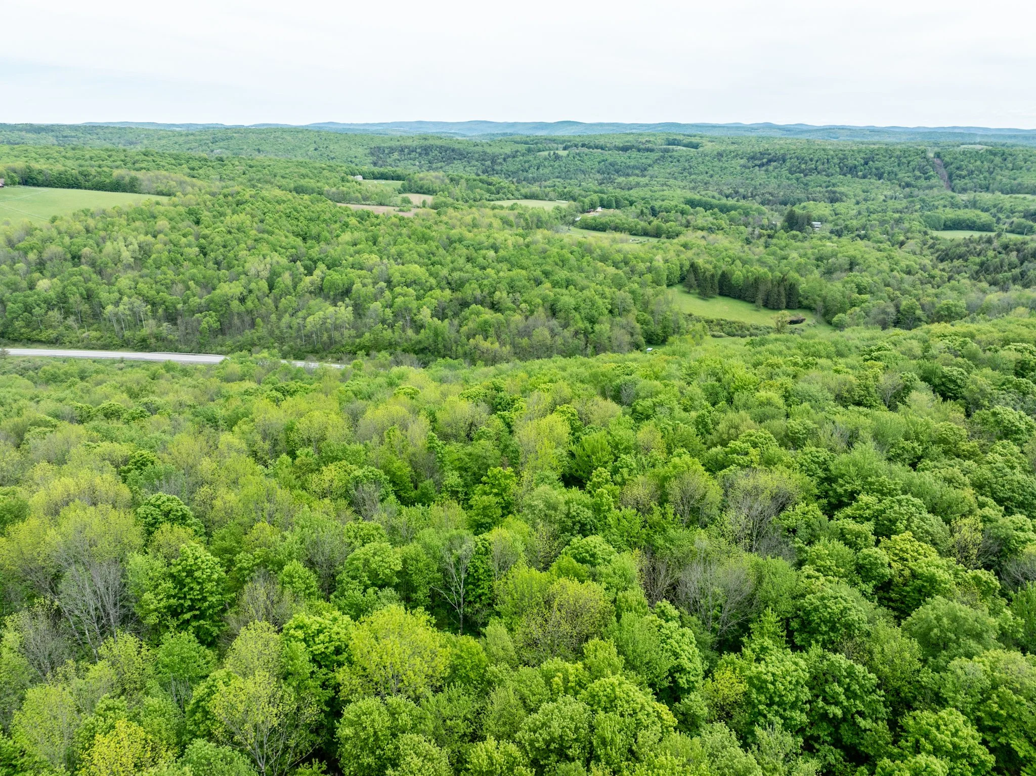 DJI_0902.jpg