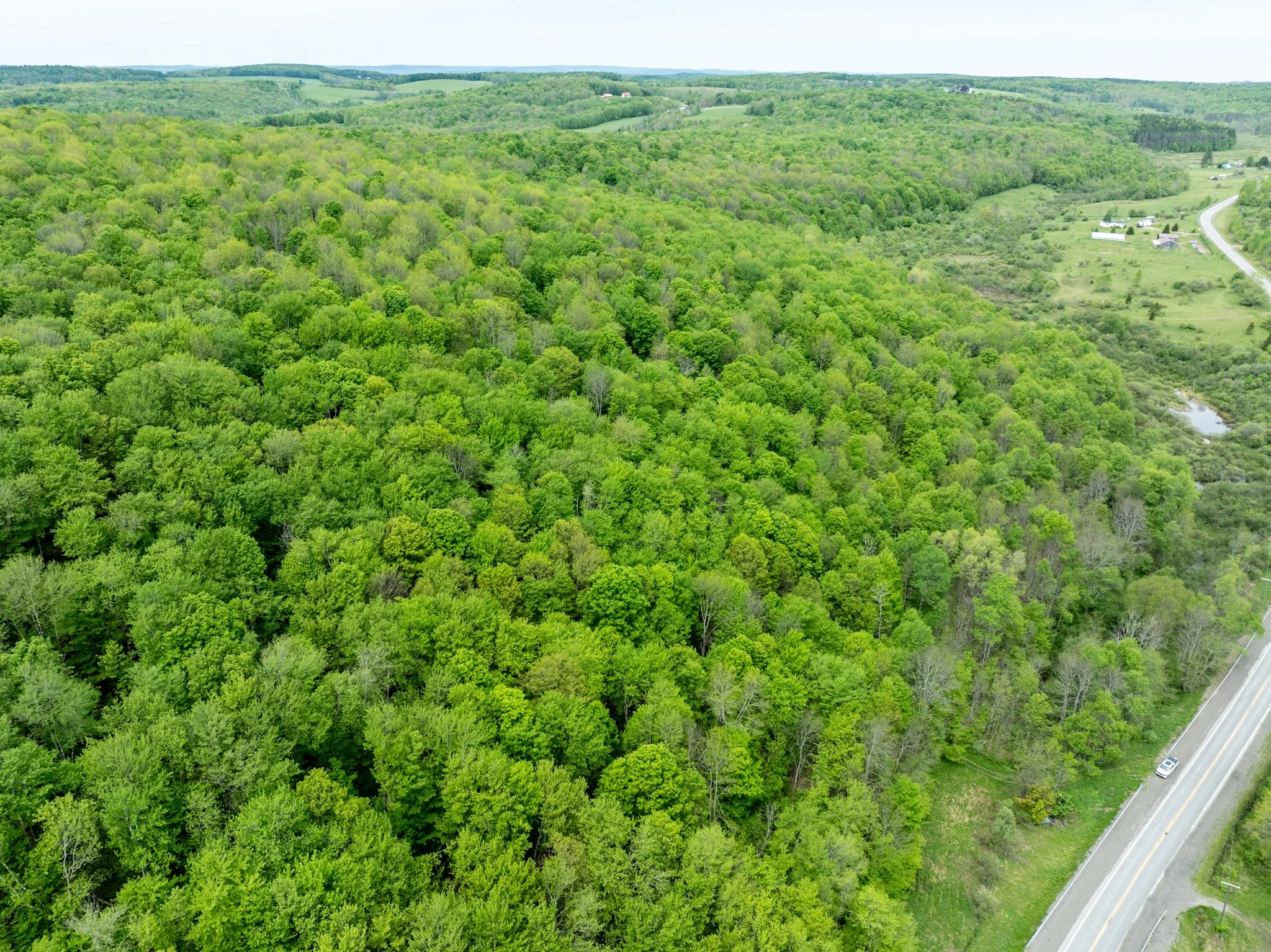 DJI_0904.jpg